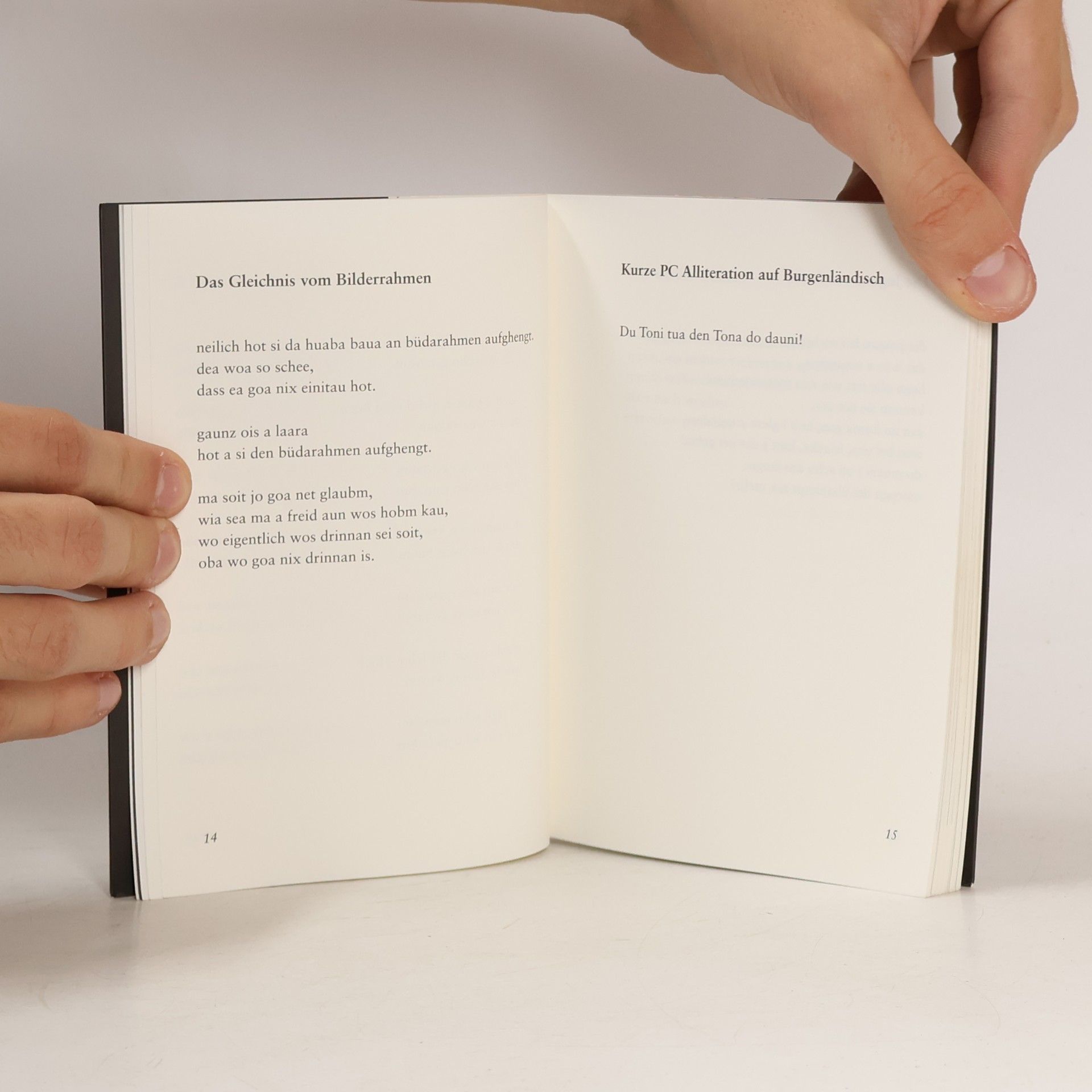 Michael Hess Zu dicht. Gedichte und Sprachspiele. Mit Fotos von Steve Haider.