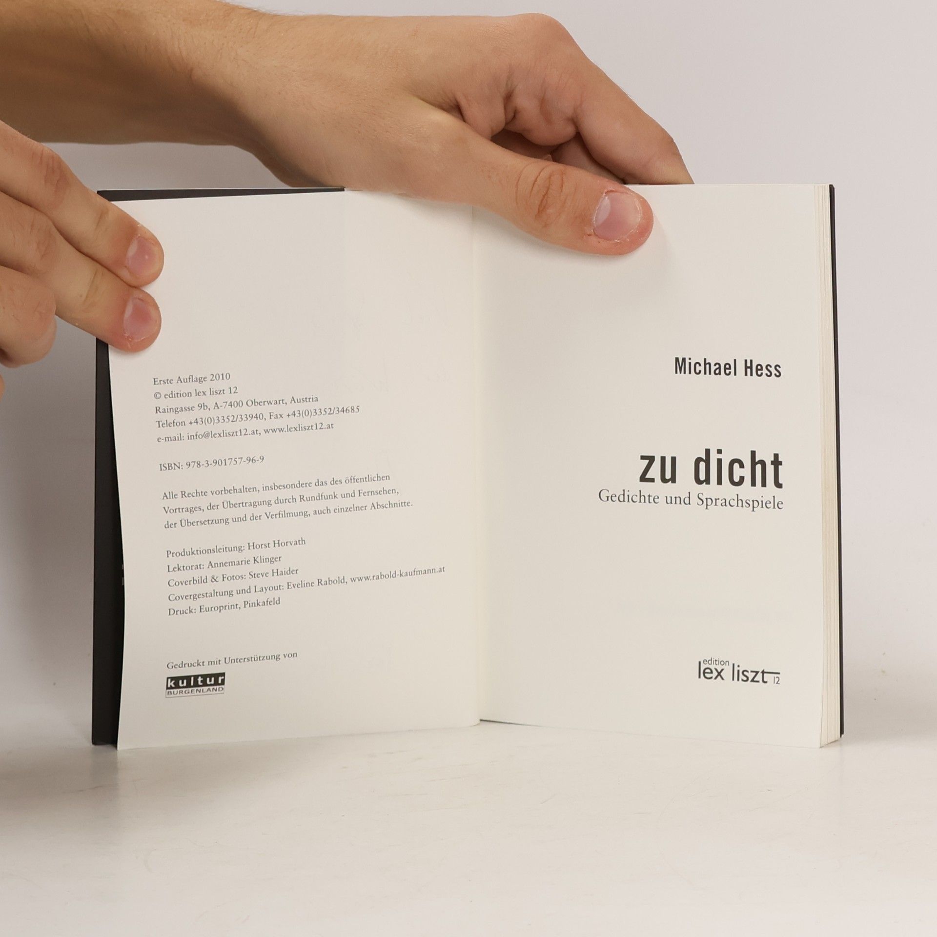 Michael Hess Zu dicht. Gedichte und Sprachspiele. Mit Fotos von Steve Haider.
