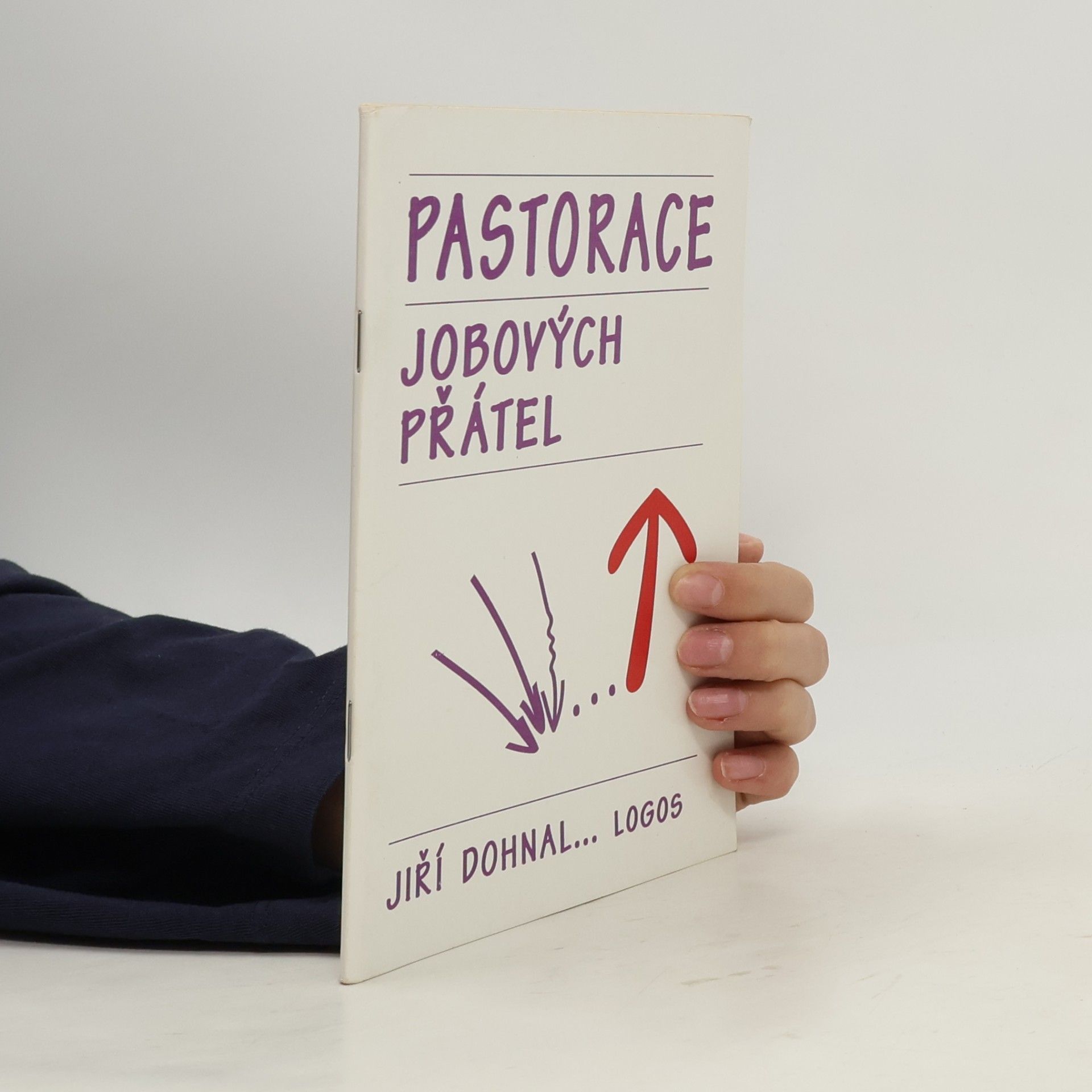 Pastorace Jobových přátel