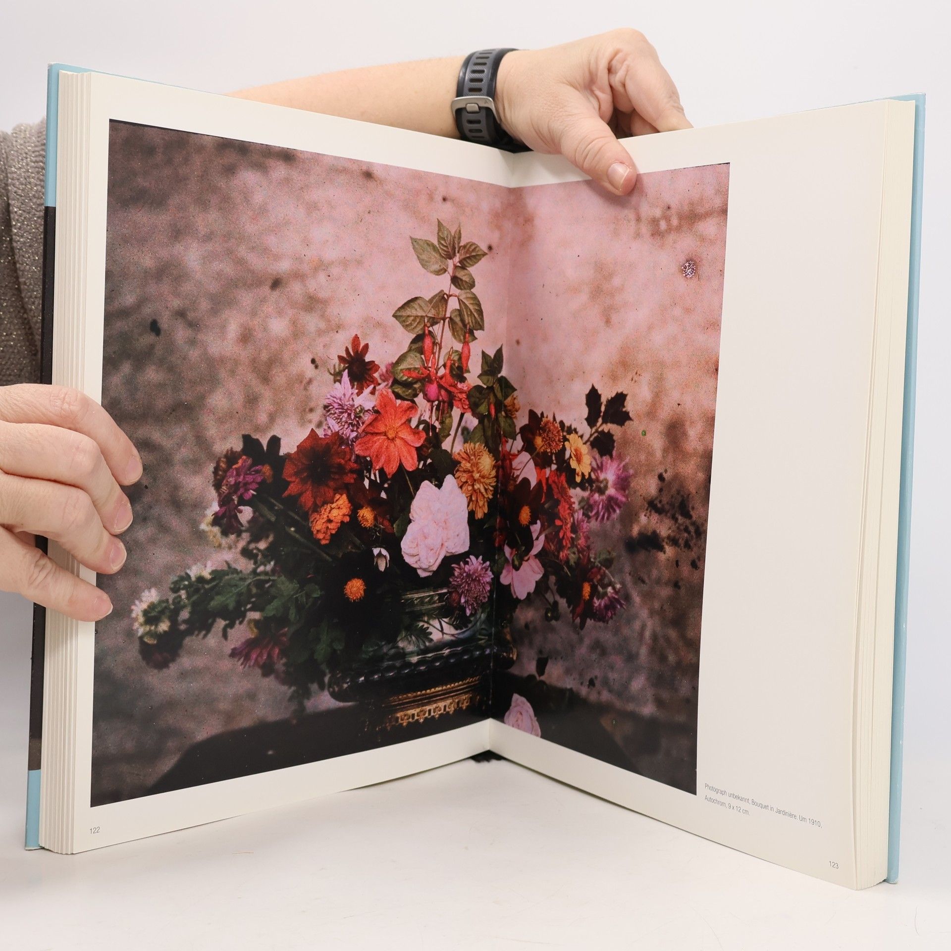 Dieter Bachmann Der Körper der Photographie
