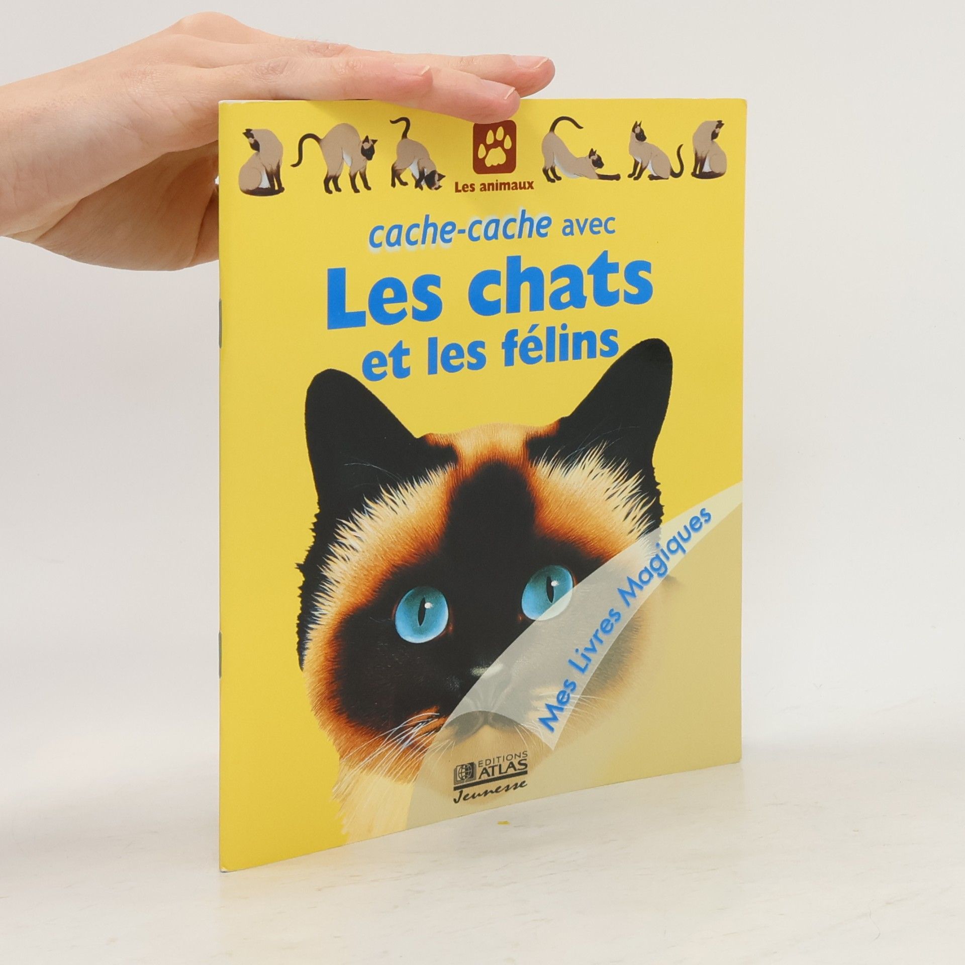 Various authors Cache-cache avec Les chats et les félins