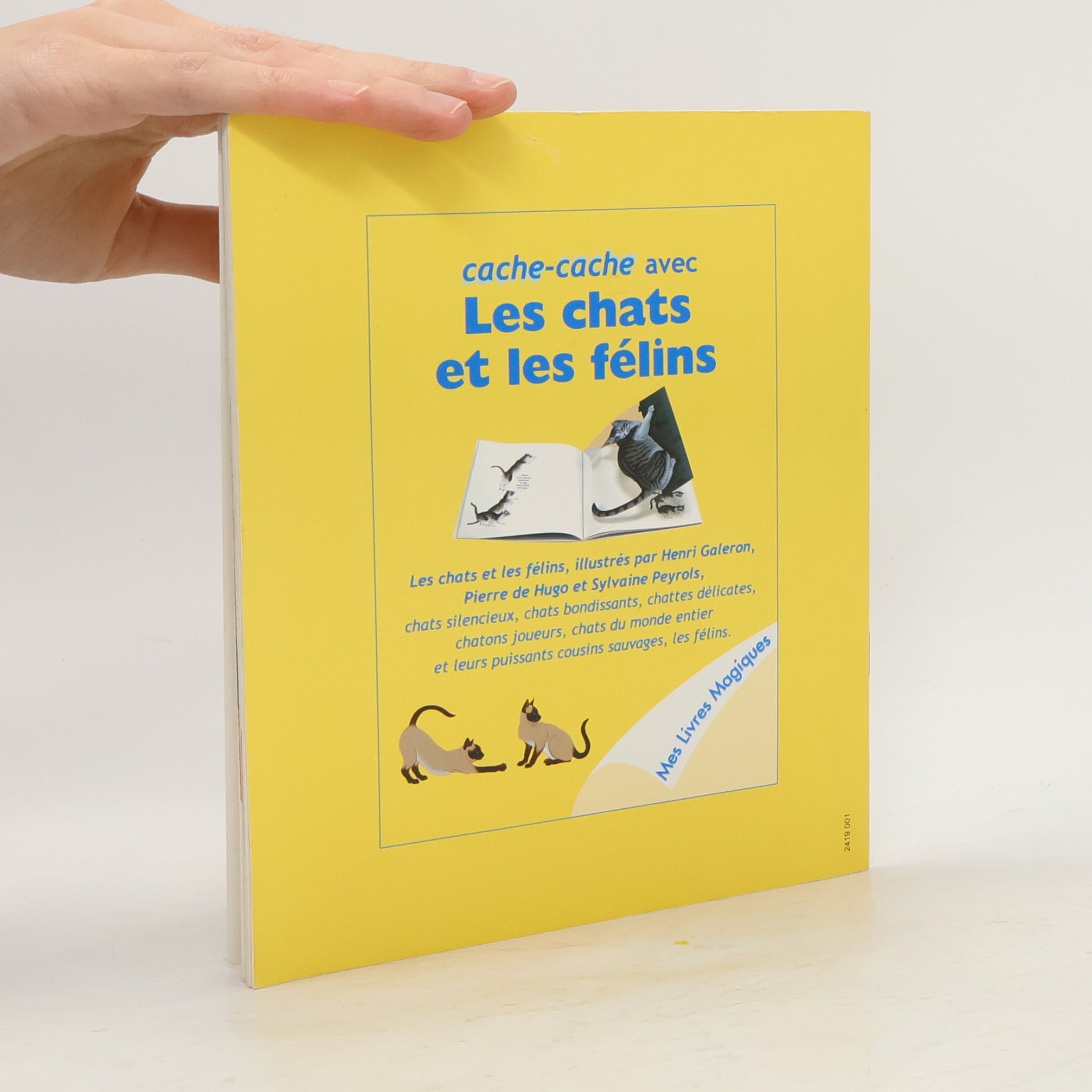 Various authors Cache-cache avec Les chats et les félins