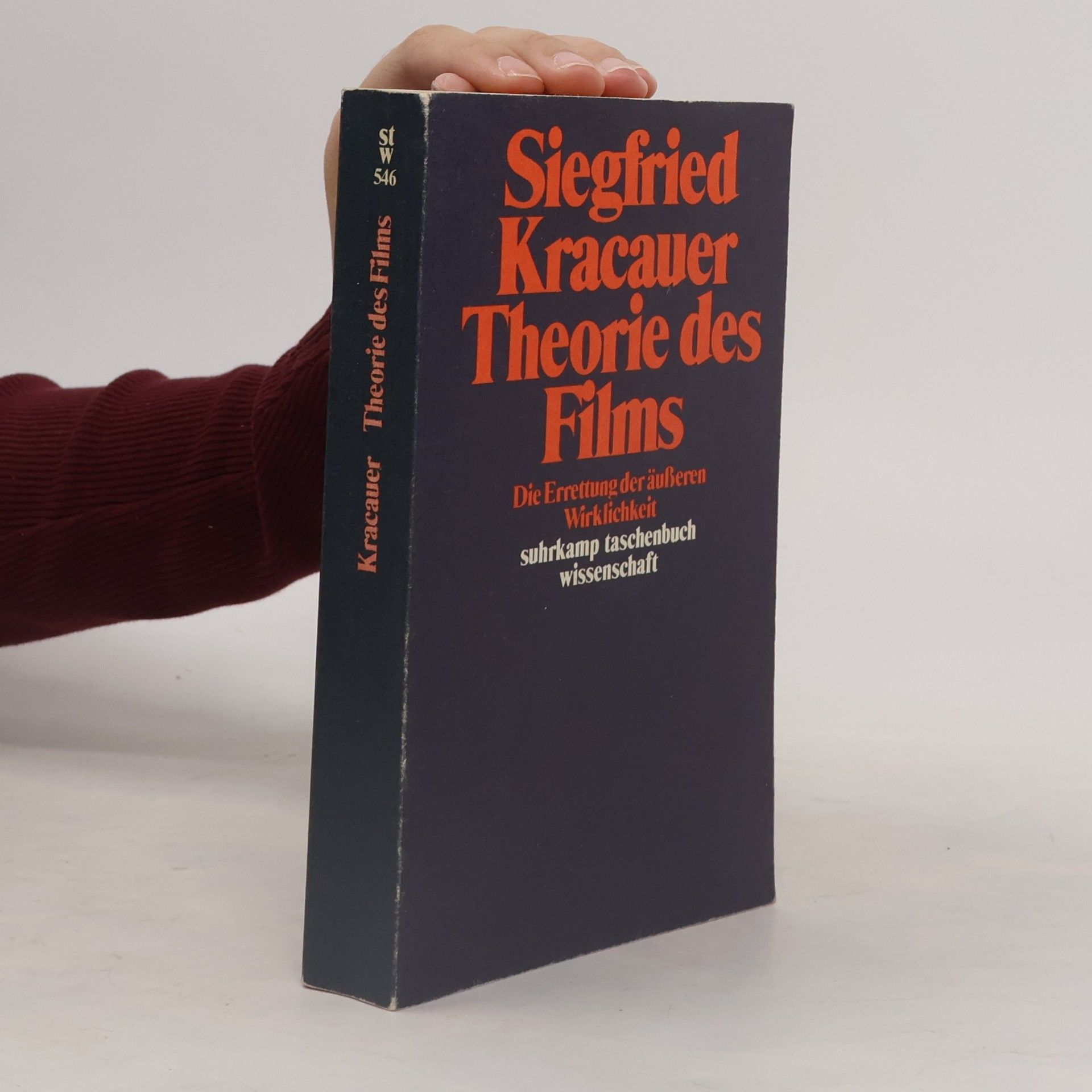 Siegfried Kracauer Theorie des Films