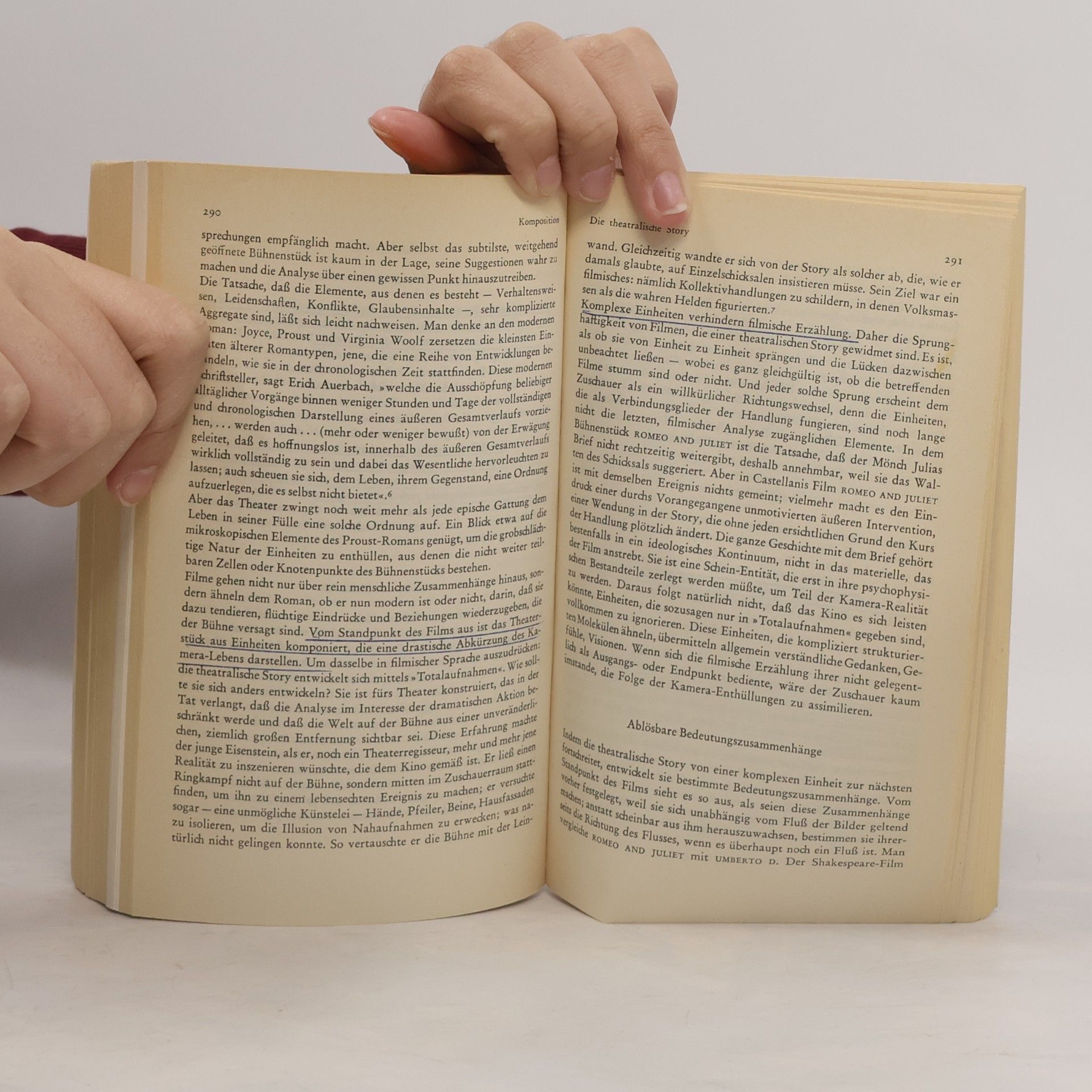 Siegfried Kracauer Theorie des Films