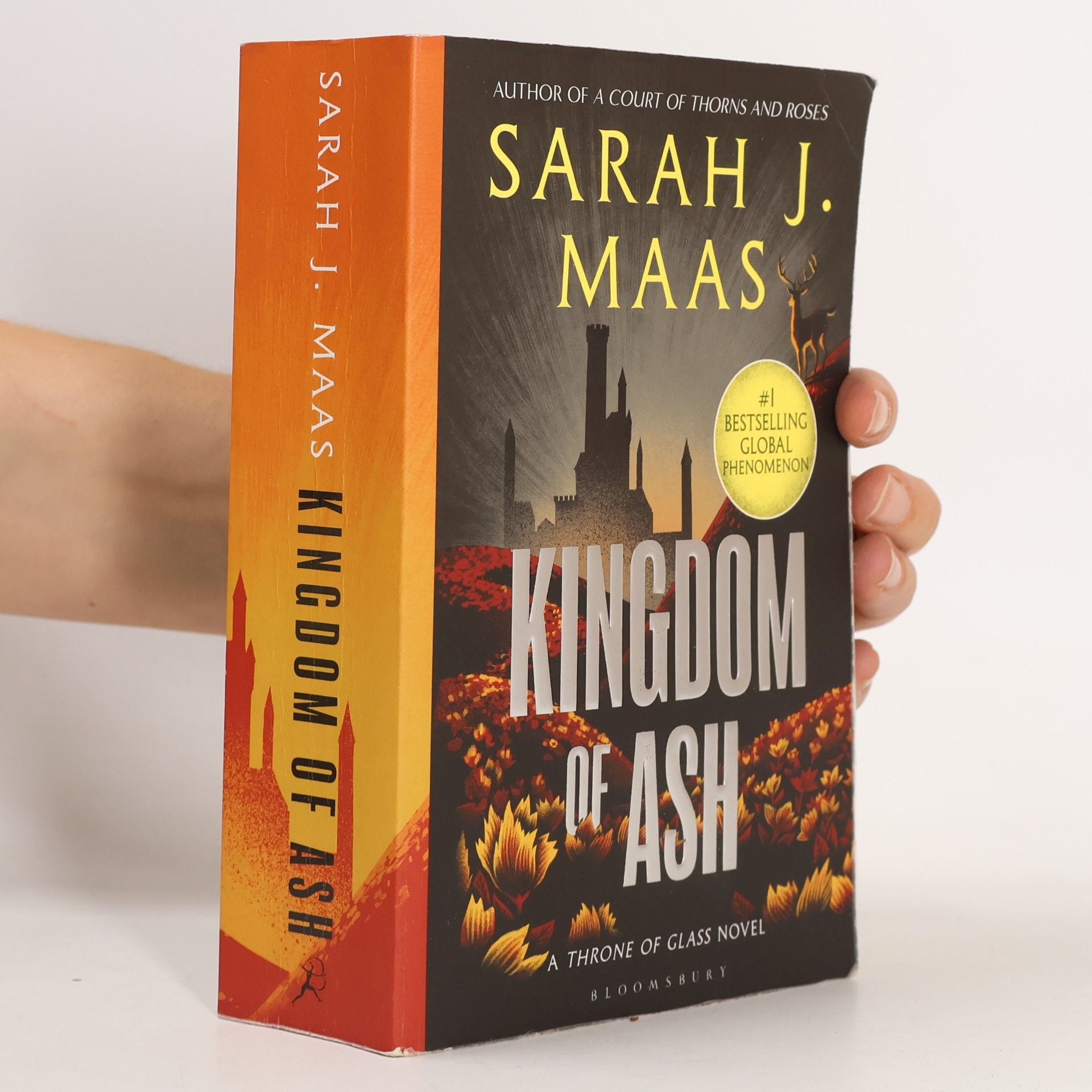 Sarah J. Maas Kingdom of Ash