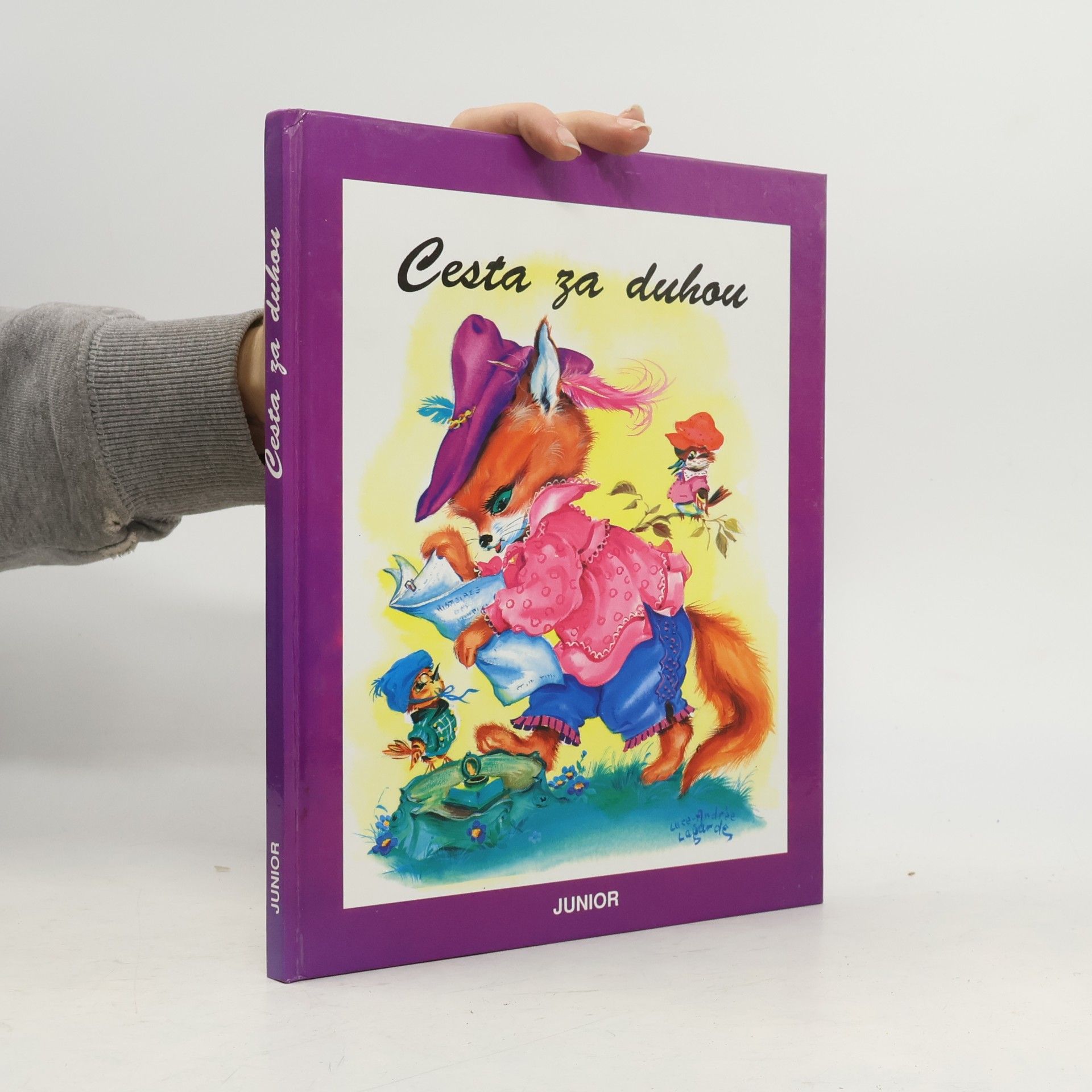 Cesta za duhou