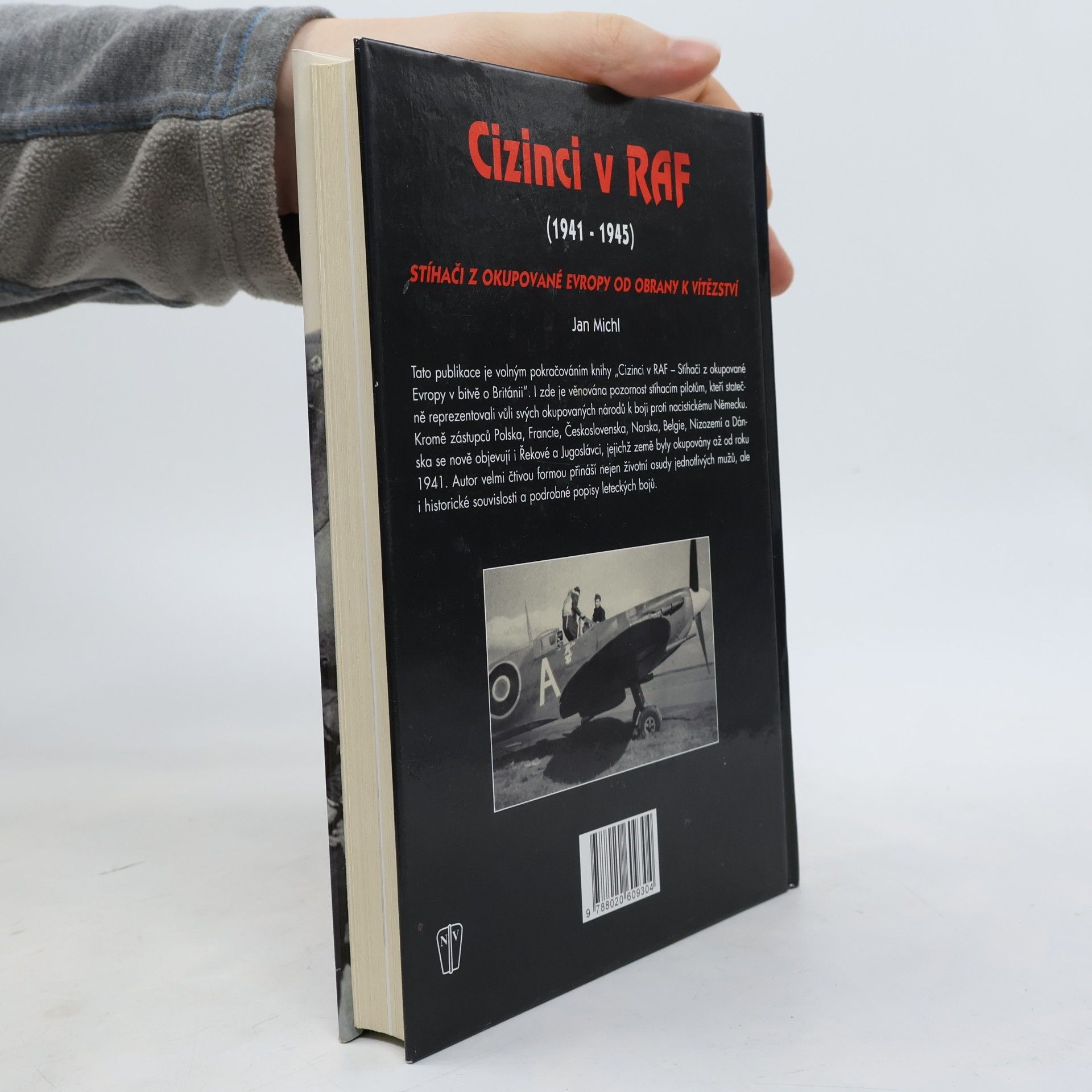 Jan Michl Cizinci v RAF - stíhači z okupované Evropy od obrany k vítězství (1941-45)
