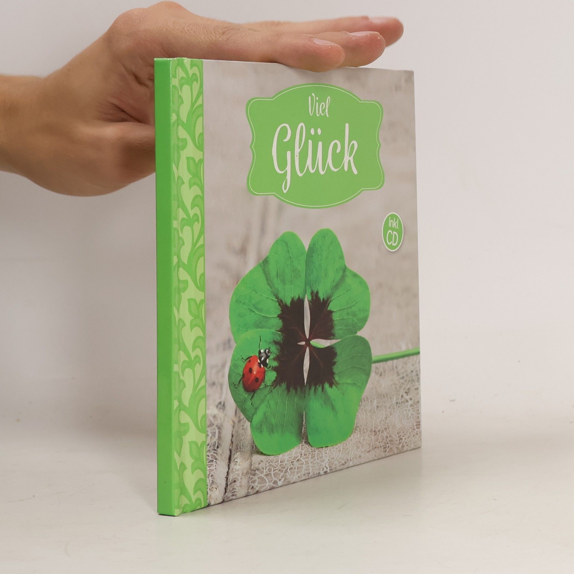 Kolektiv autorů Viel Glück