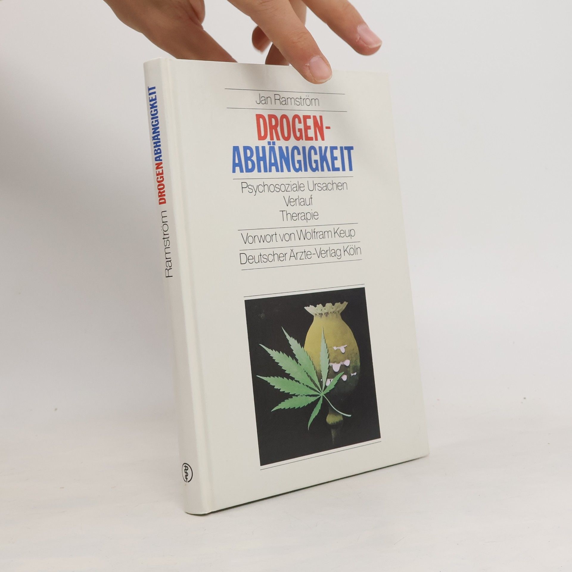 Jan Ramström Drogenabhängigkeit