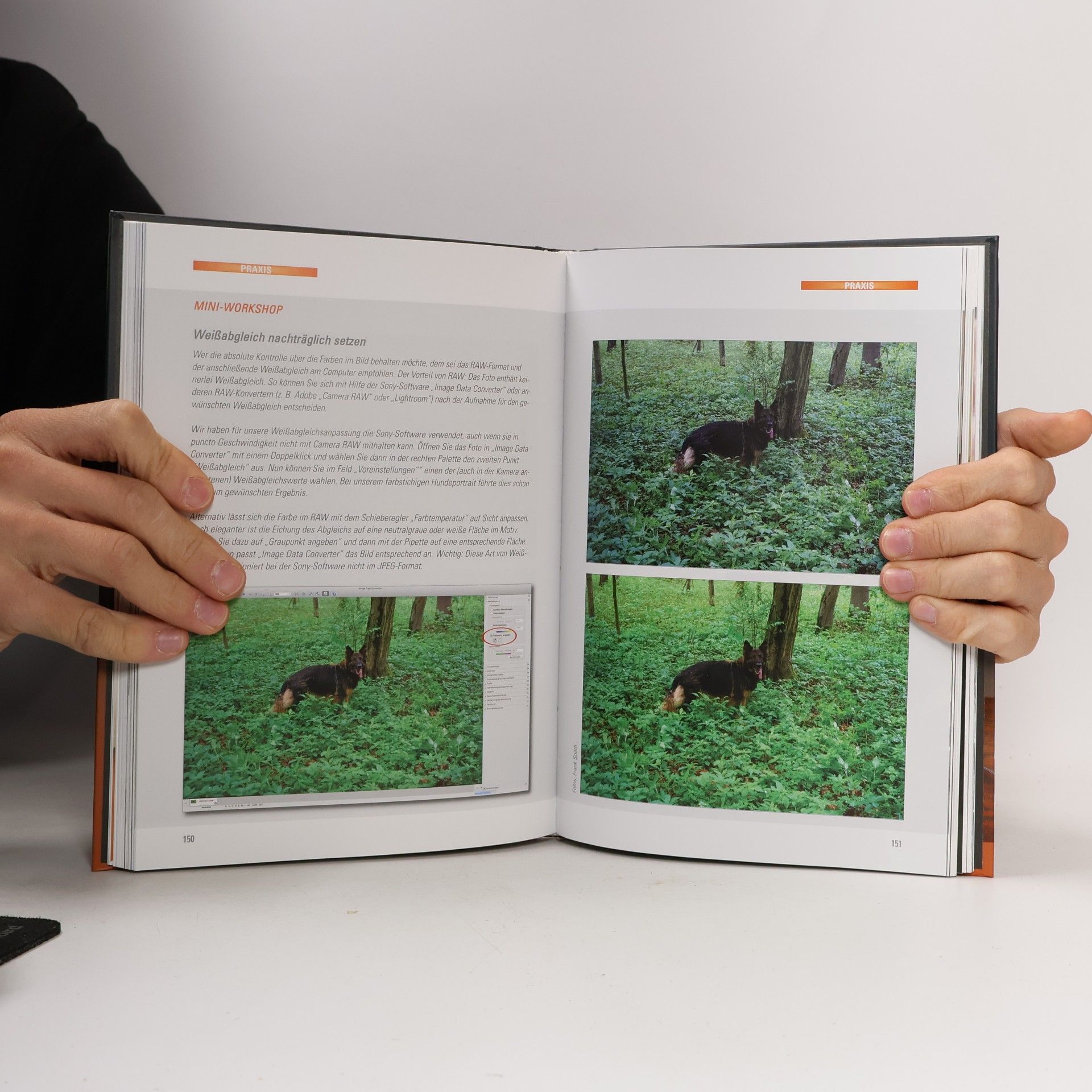 Frank Späth Sony Alpha 6000. Das Buch zur Kamera