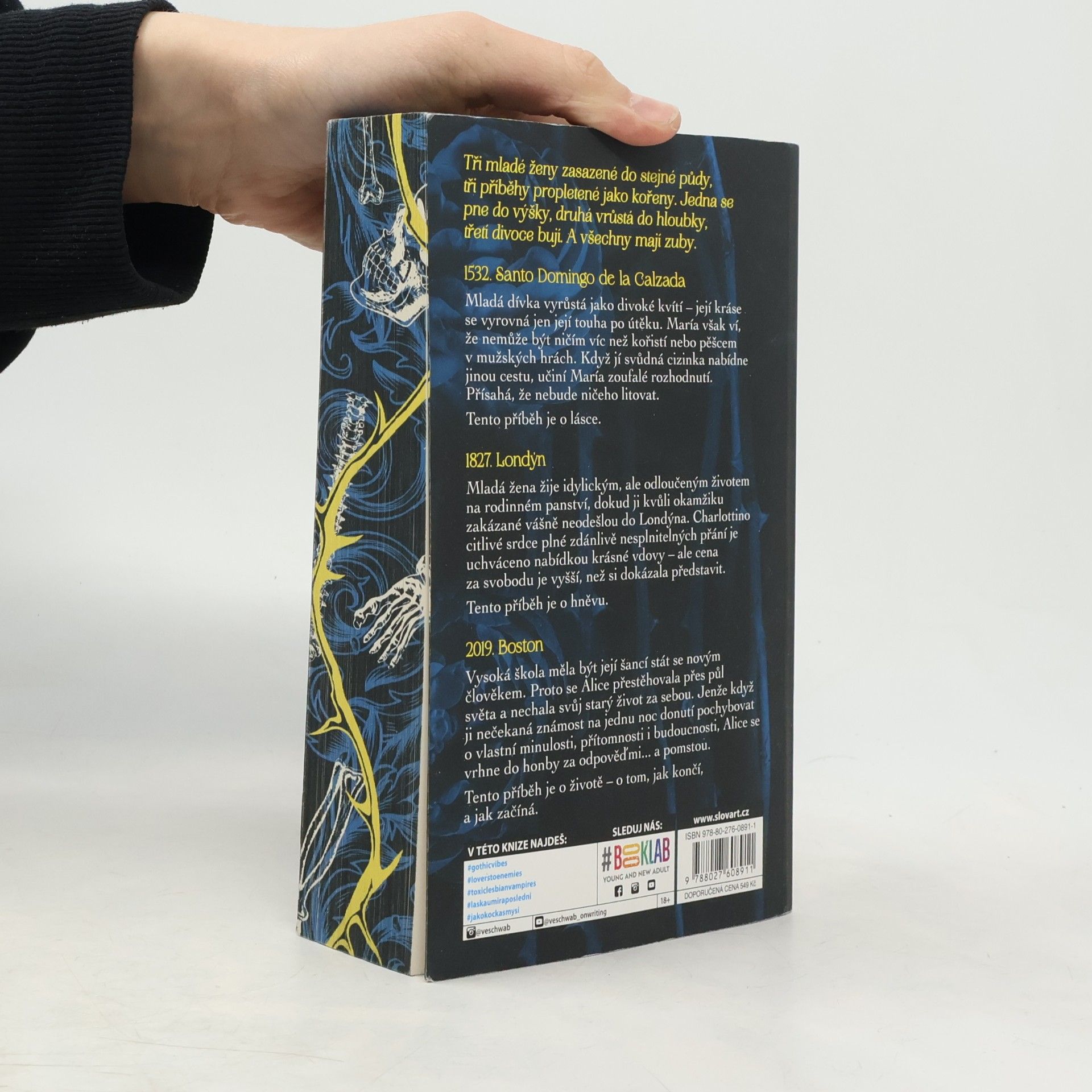 V. E. Schwab Pohřběte kosti mé v půlnoční půdě