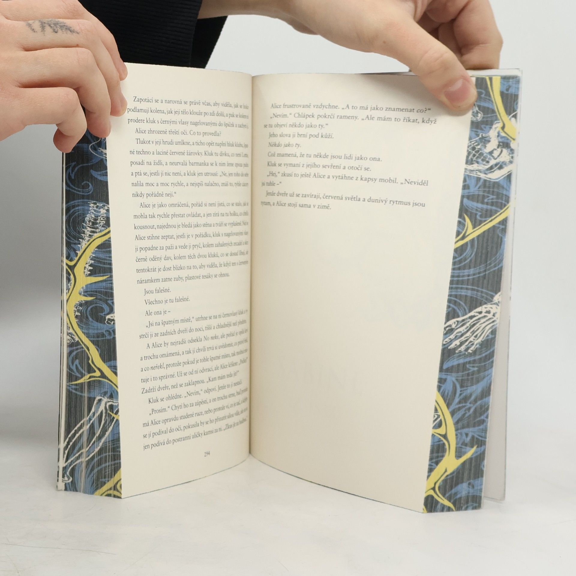 V. E. Schwab Pohřběte kosti mé v půlnoční půdě