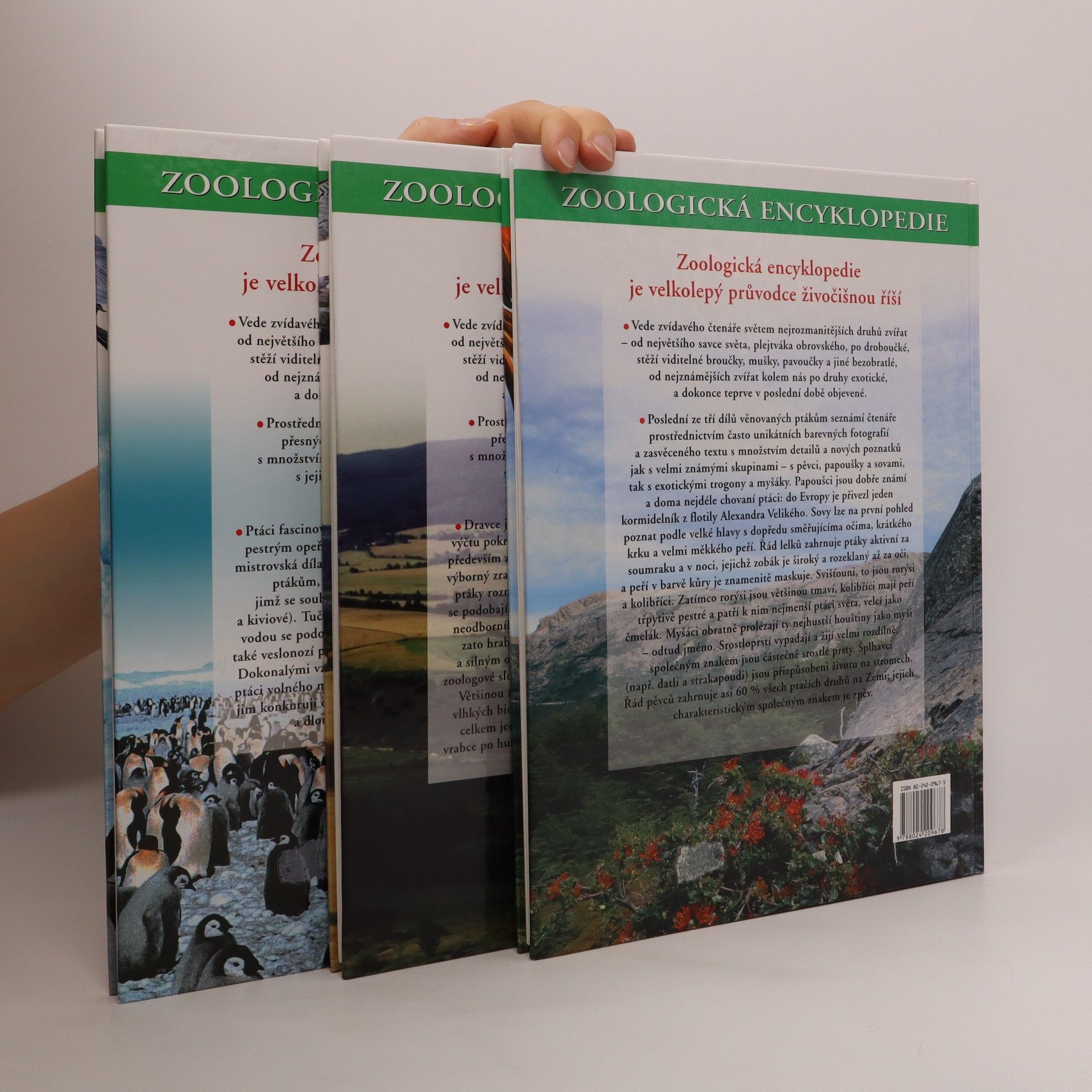 Autorenkollektiv Zoologická encyklopedie. Ptáci 1-3. díl
