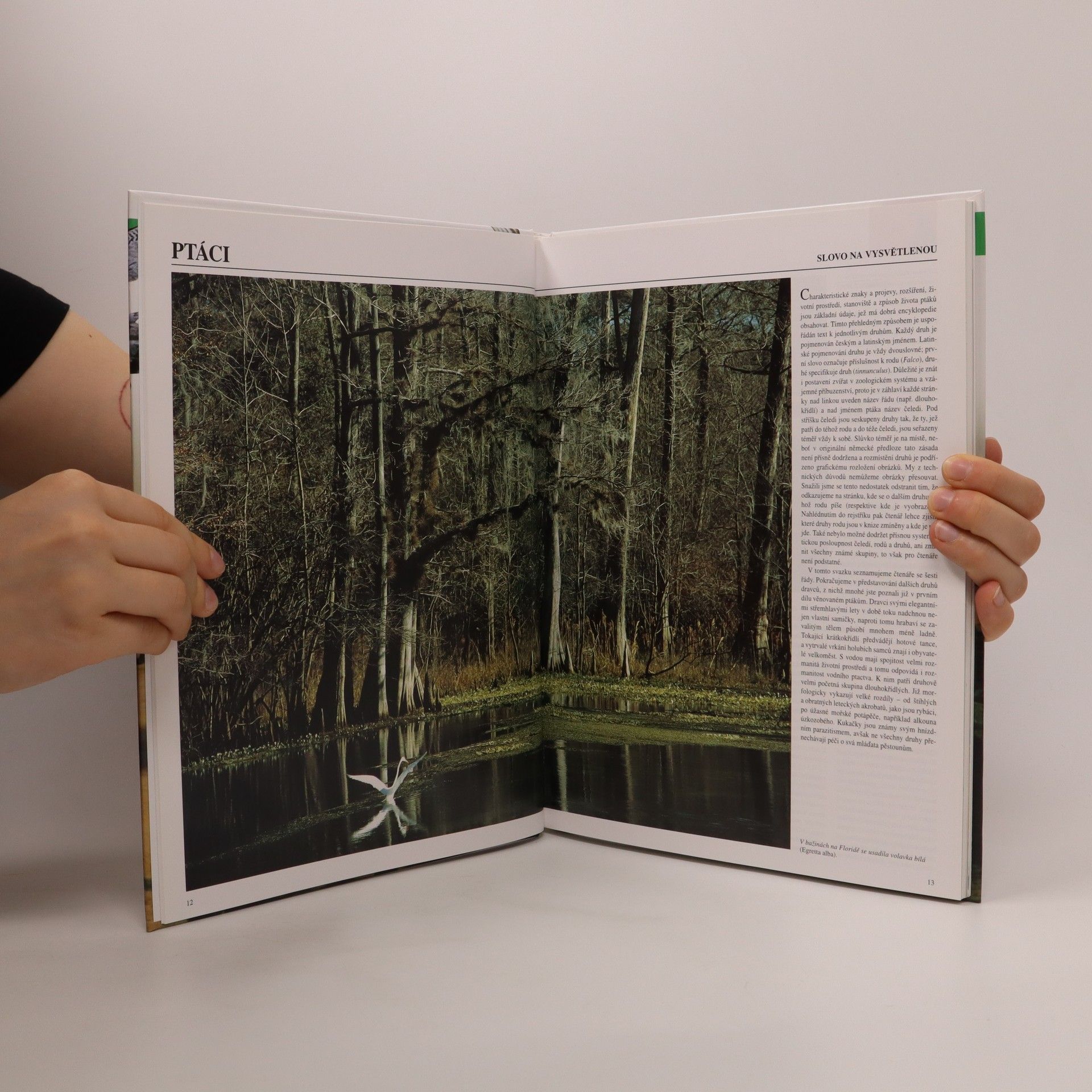 Autorenkollektiv Zoologická encyklopedie. Ptáci 1-3. díl