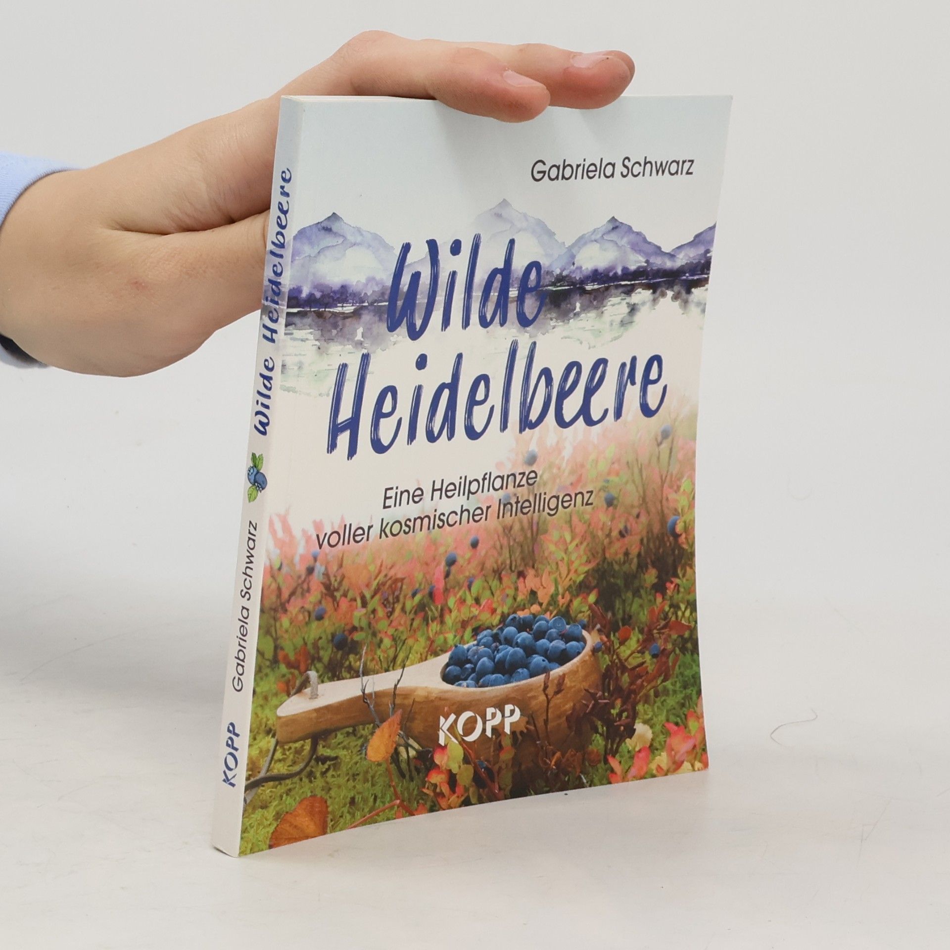 Wilde Heidelbeere