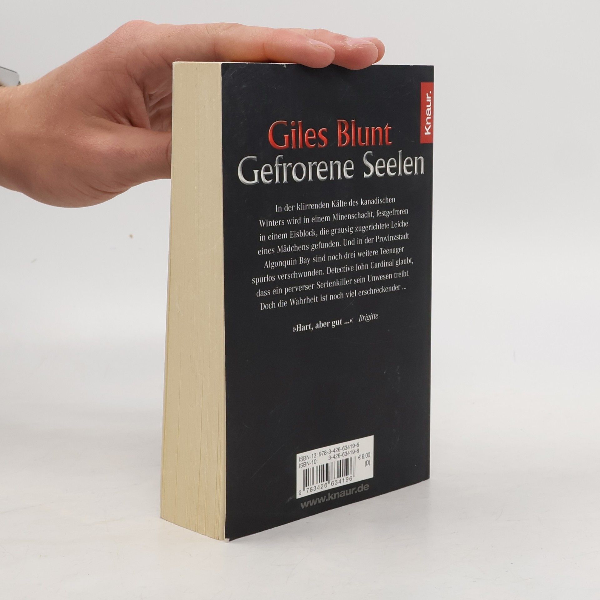 Giles Blunt Gefrorene Seelen