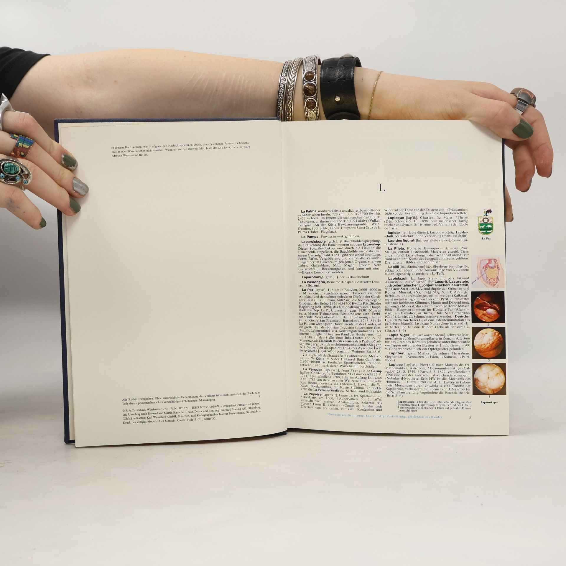 Autorenkollektiv Der grosse Brockhaus 7