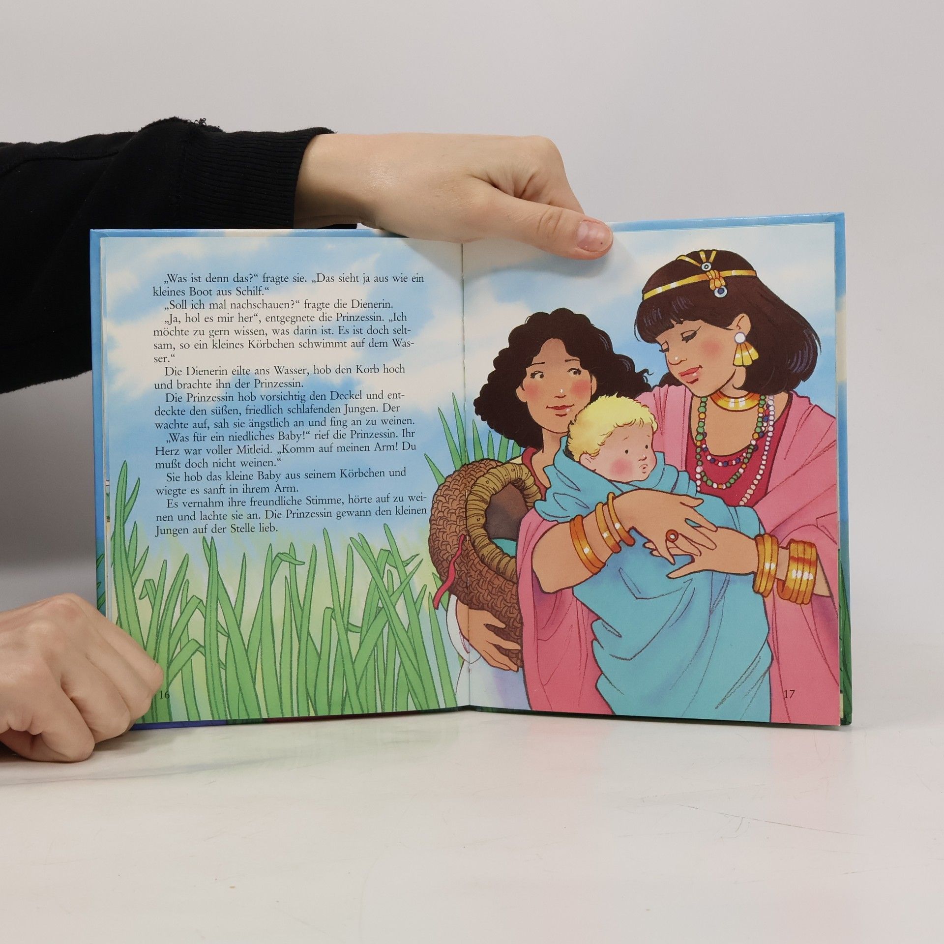 Enid Blyton Das Baby im Schilf