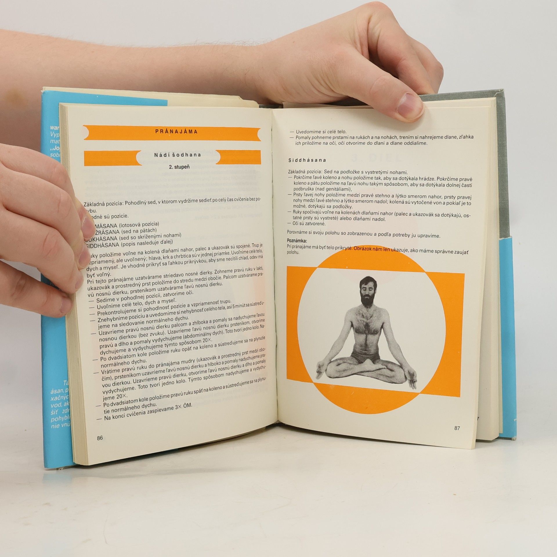 Swami Maheshwarananda Joga v dennom živote