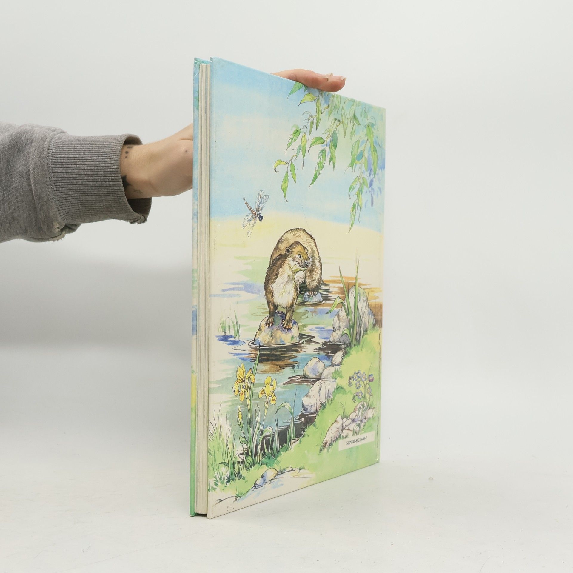 Kenneth Grahame Vyprávění pod vrbou