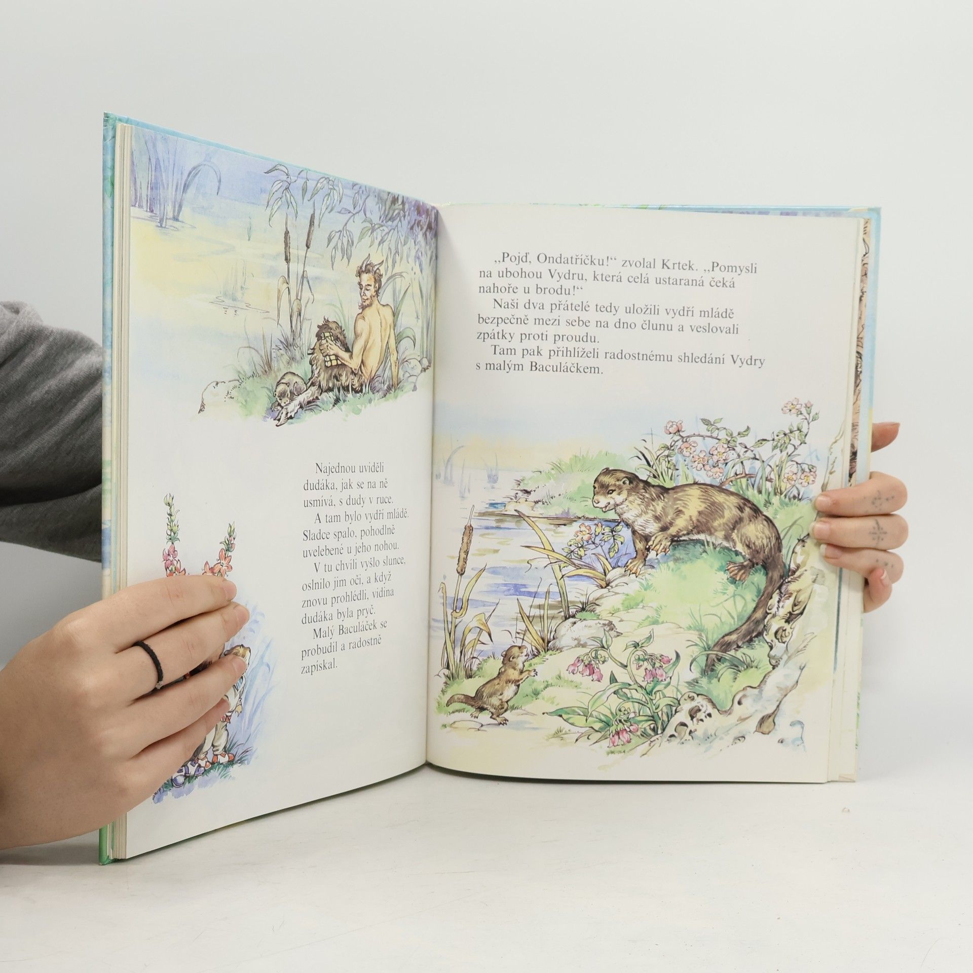 Kenneth Grahame Vyprávění pod vrbou