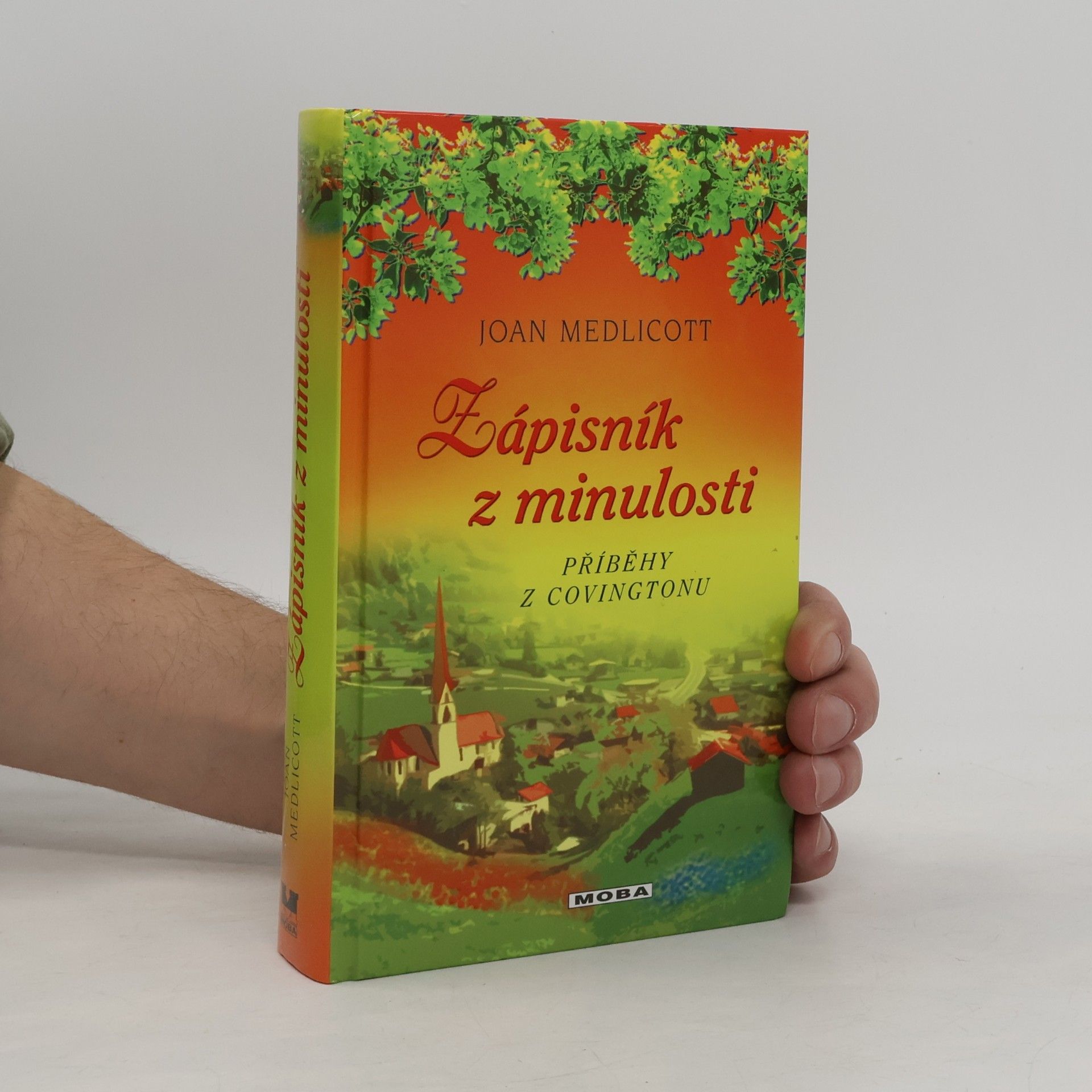 Joan Medlicott Zápisník z minulosti