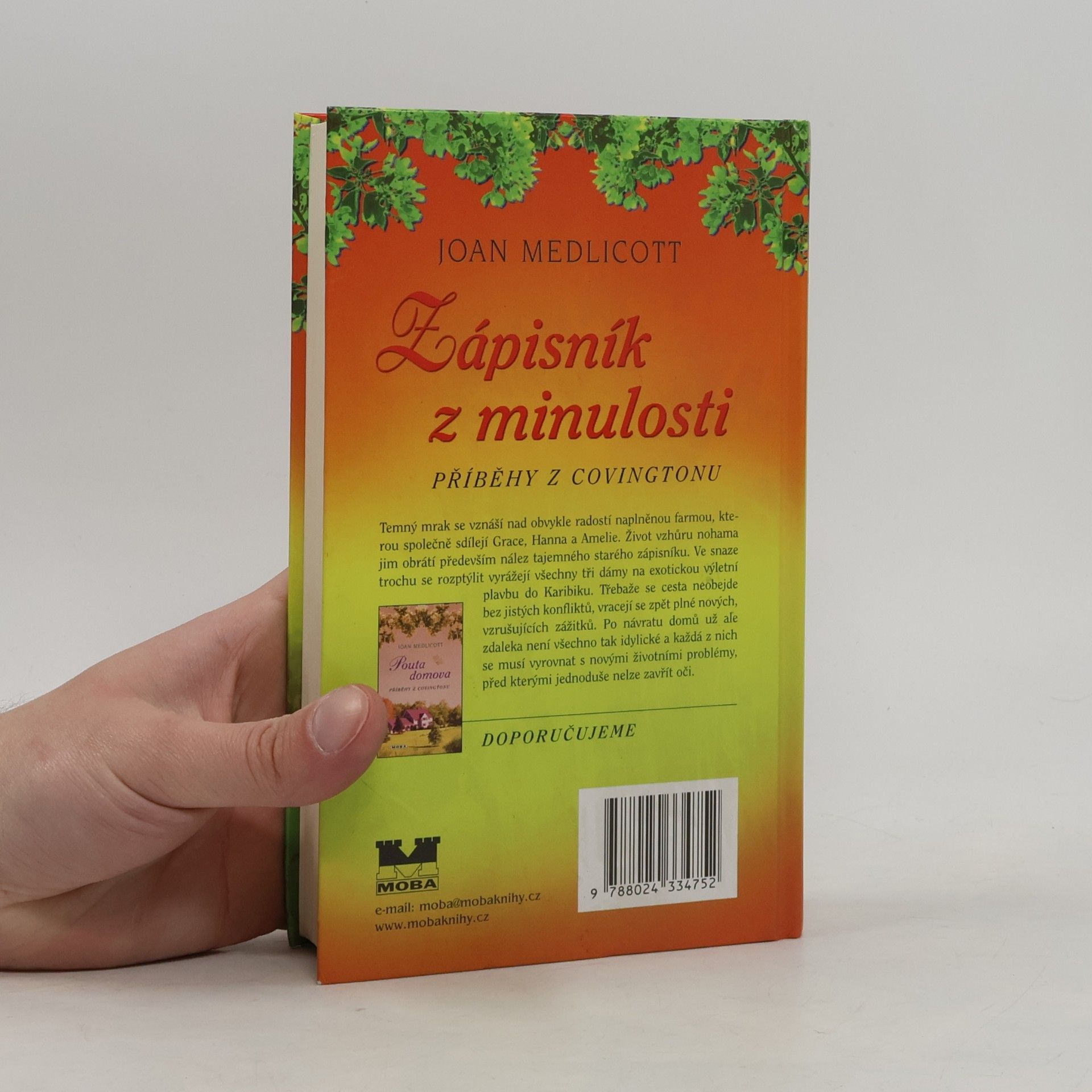 Joan Medlicott Zápisník z minulosti