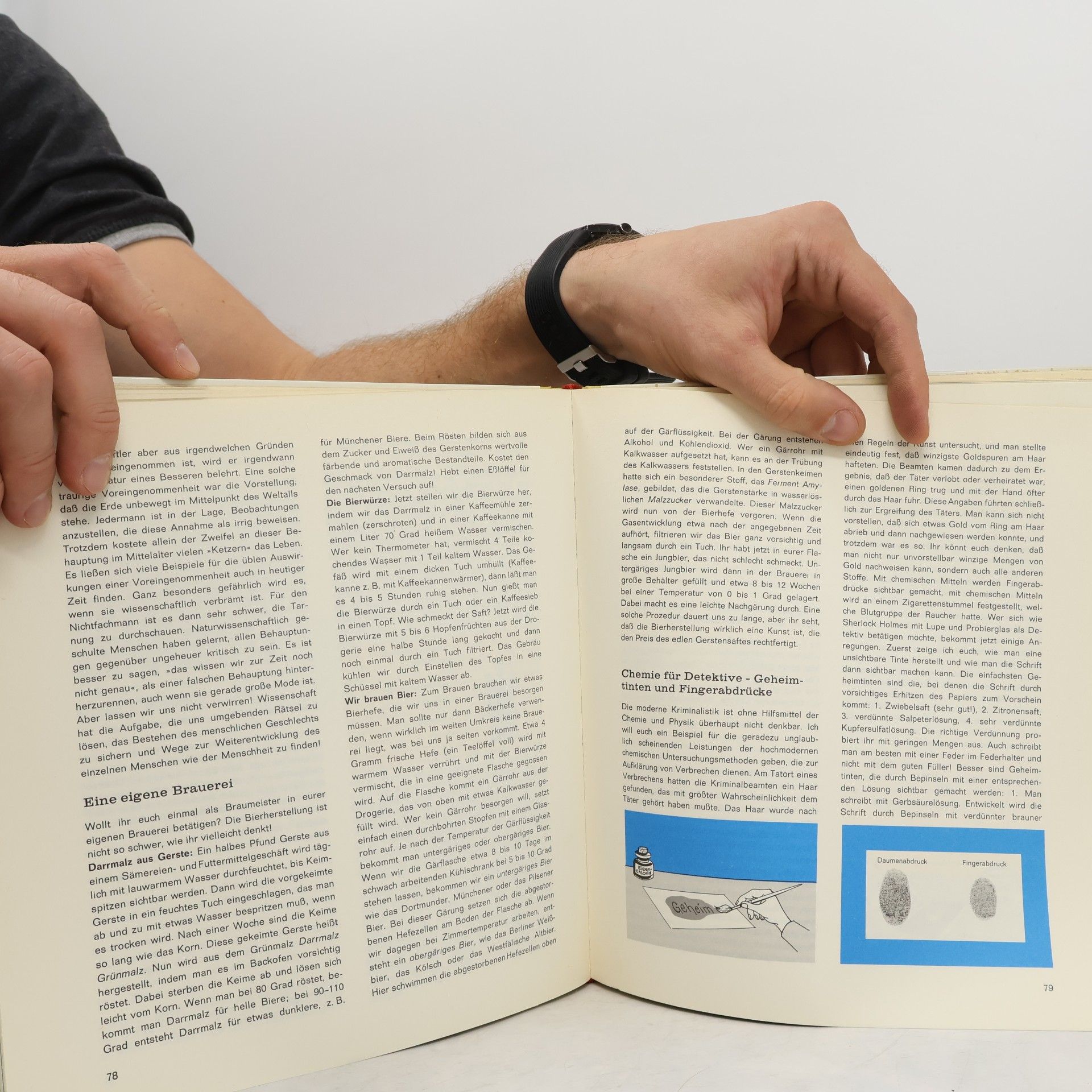Axel Rex Mein Spiel- und Experimentierbuch