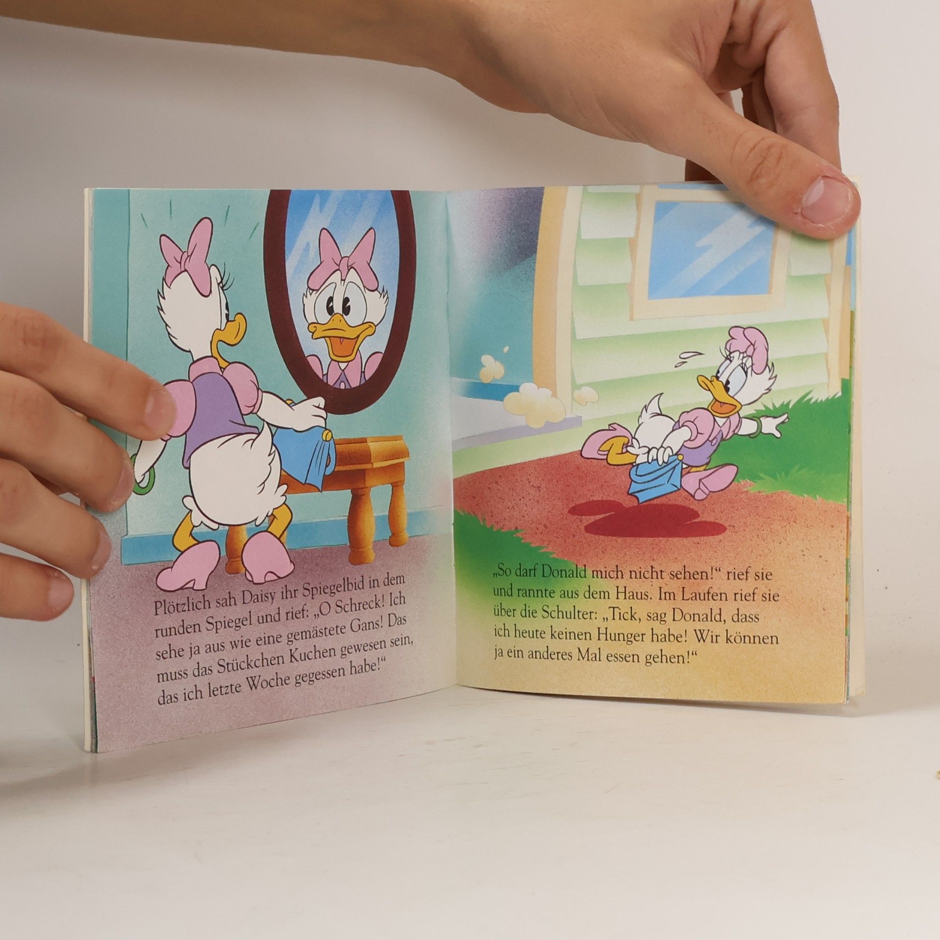 Autorenkollektiv Daisys Schlankheitskur
