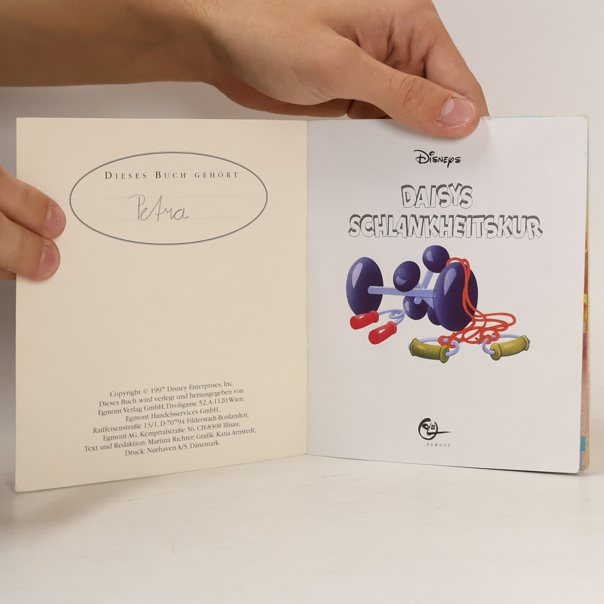 Autorenkollektiv Daisys Schlankheitskur