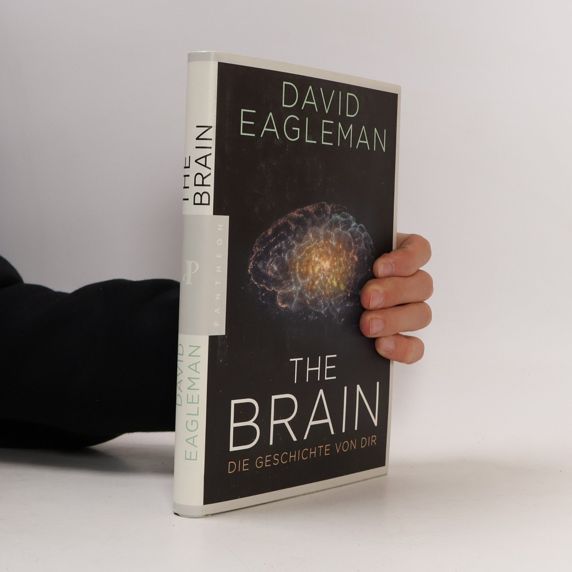 David Eagleman The Brain