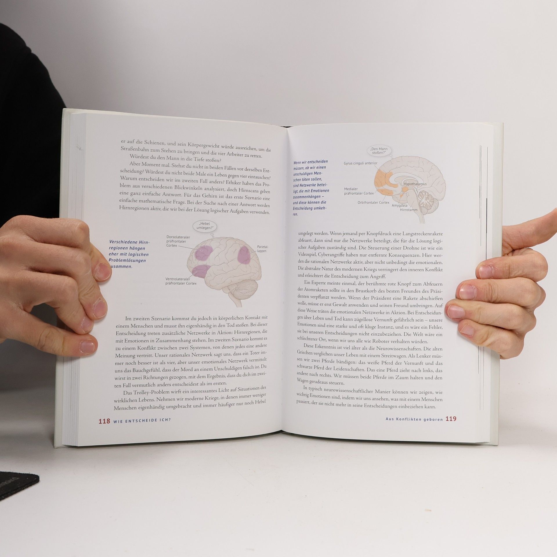 David Eagleman The Brain