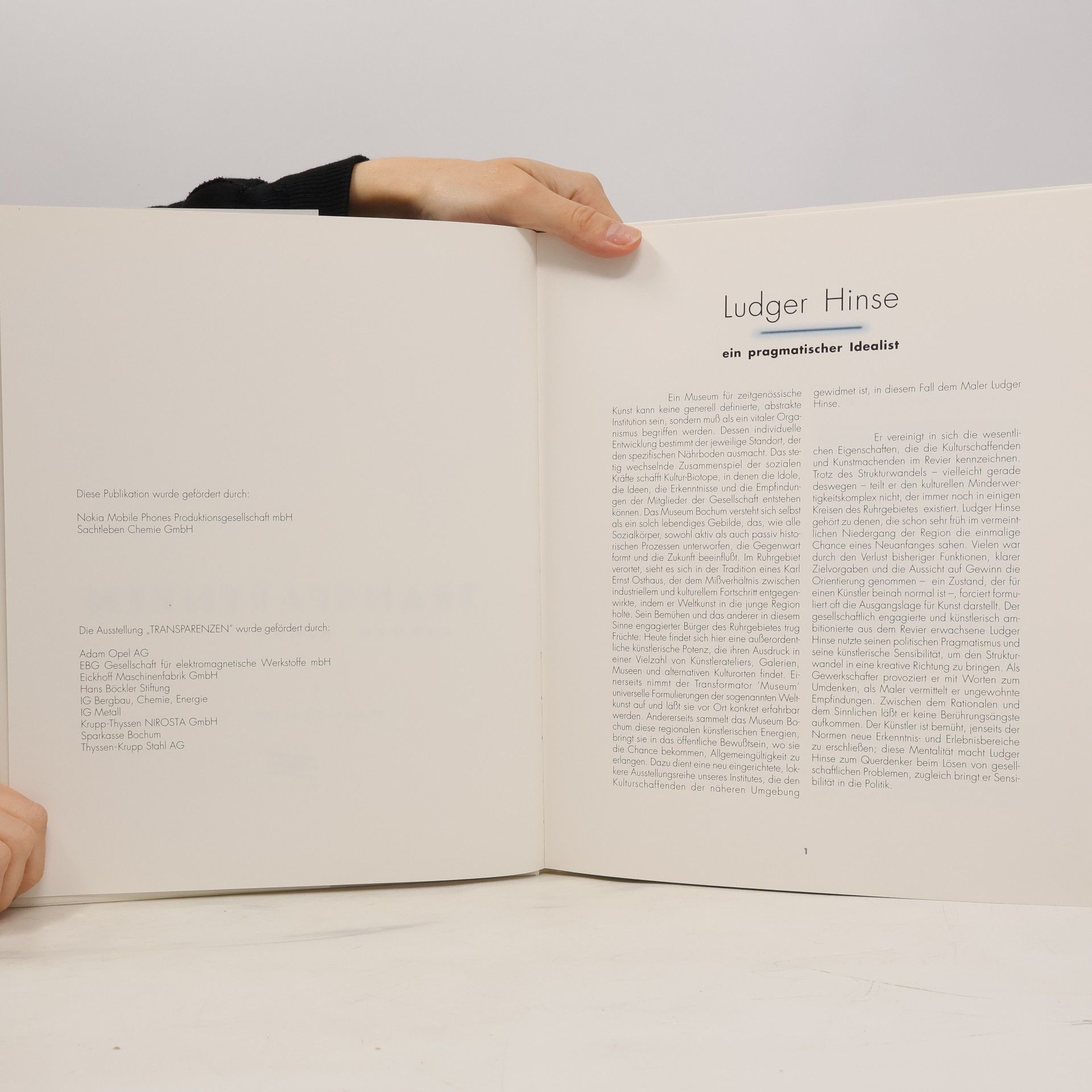 Ludger Hinse Transparenzen