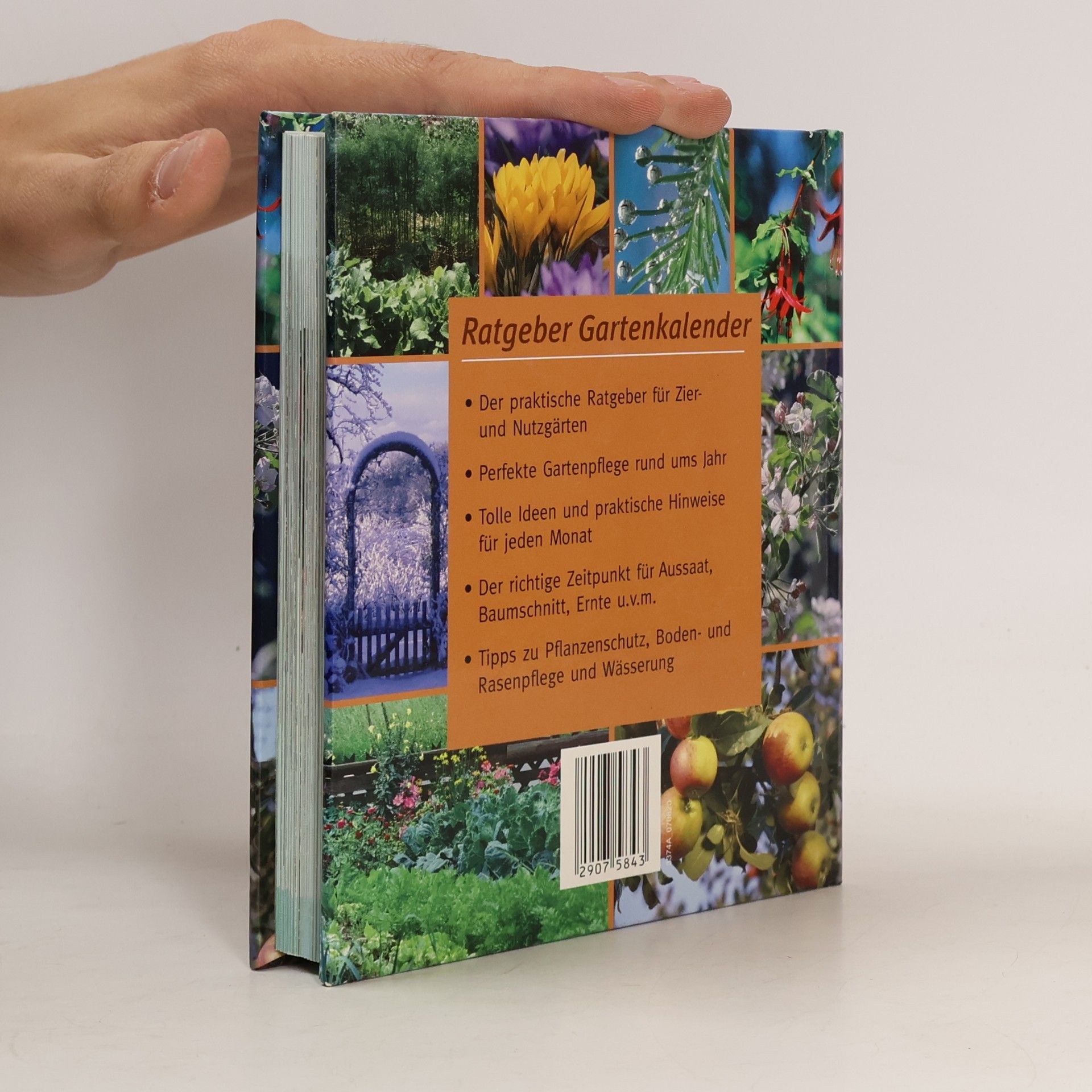 Ratgeber Gartenkalender