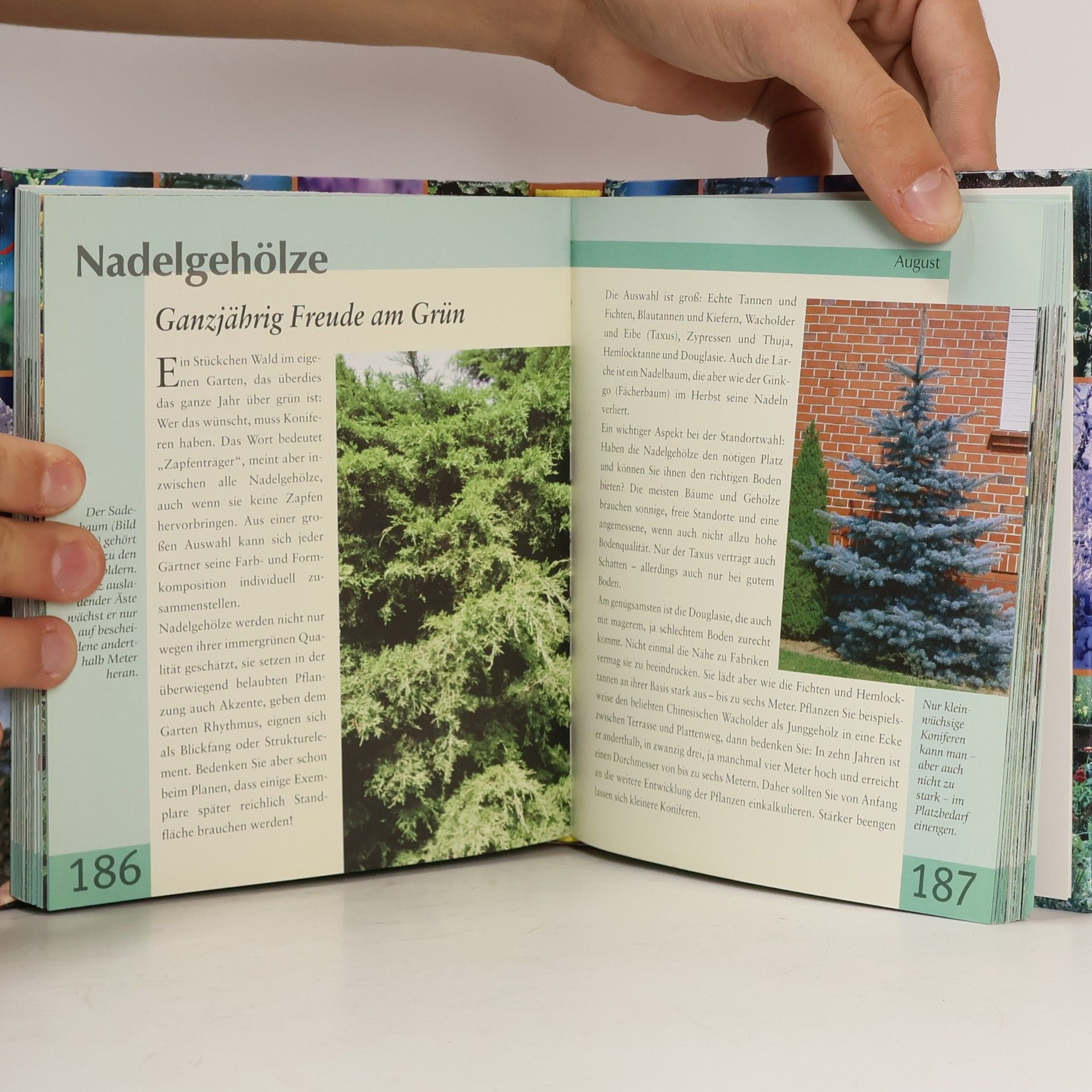 Ratgeber Gartenkalender