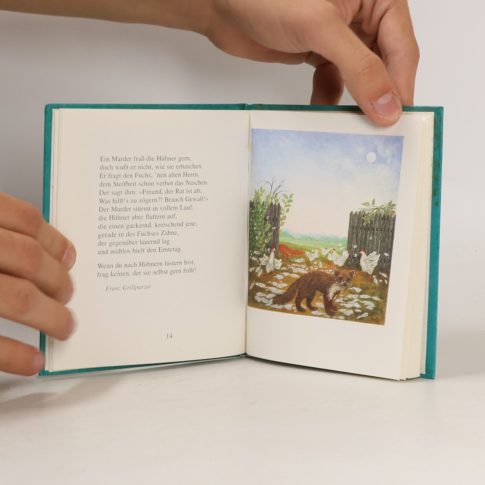 Kolektív autorov Das kleine Buch der Tierfabeln