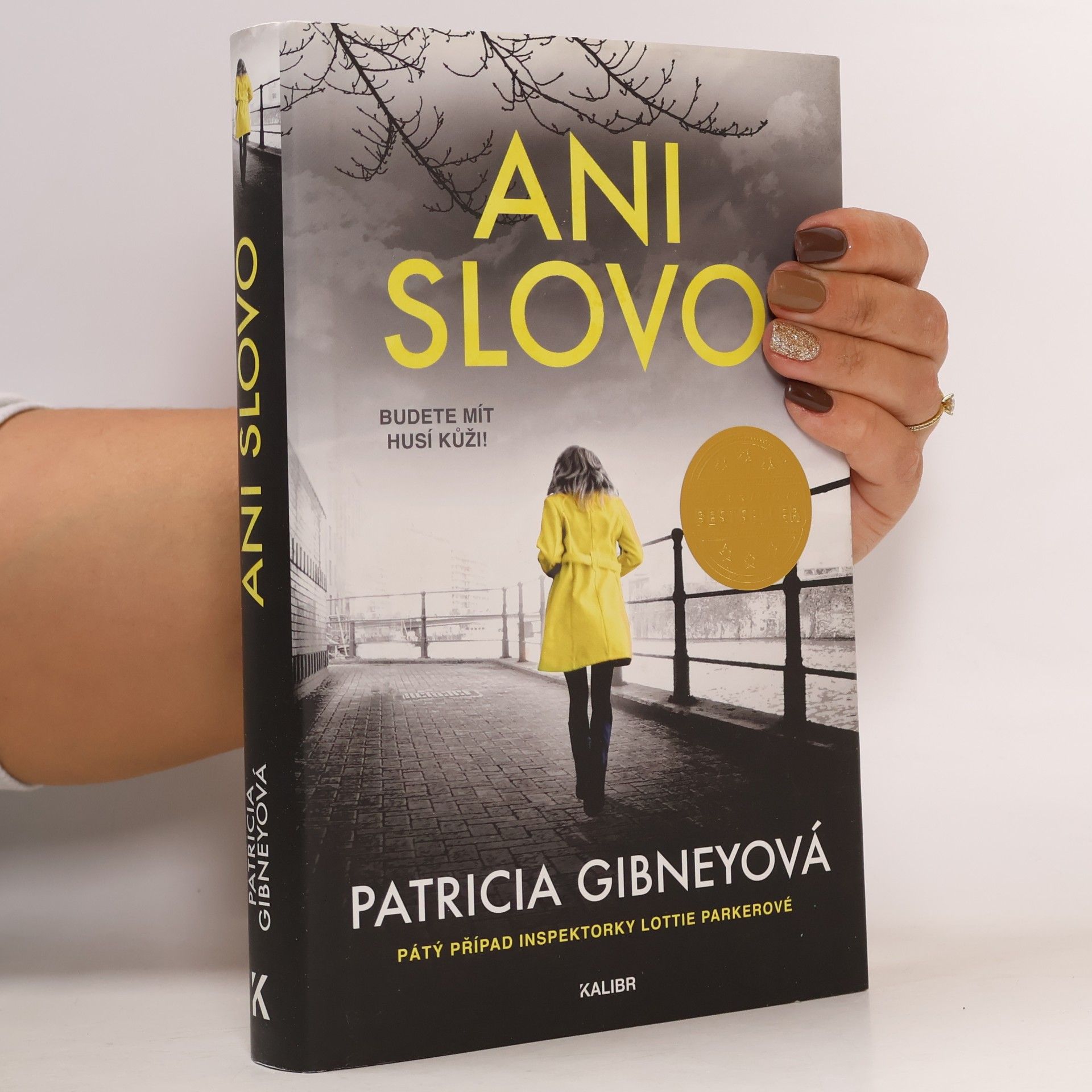 Patricia Gibney Ani slovo