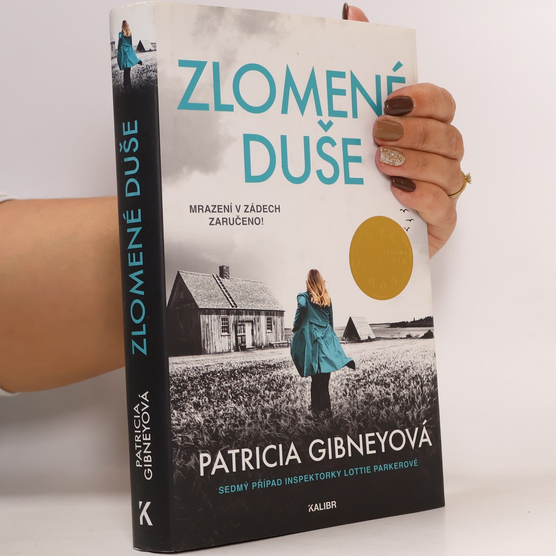 Patricia Gibney Zlomené Duše