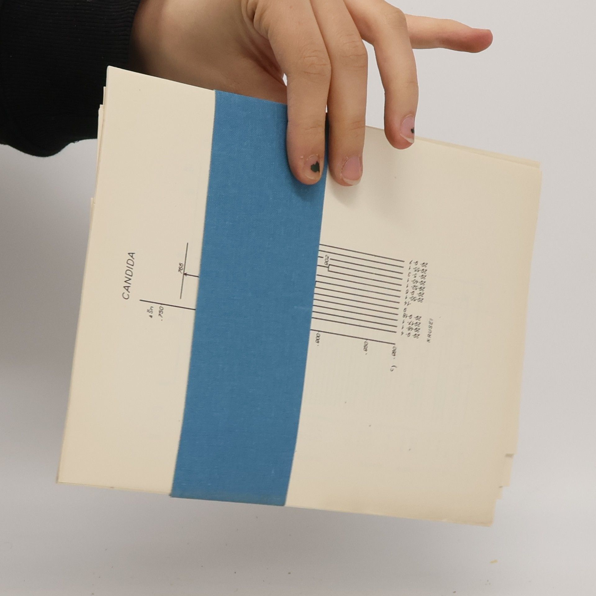 Anna KockováKratochvílová Katalóg kultúr kvasiniek. Catalogue of Yeast Cultures
