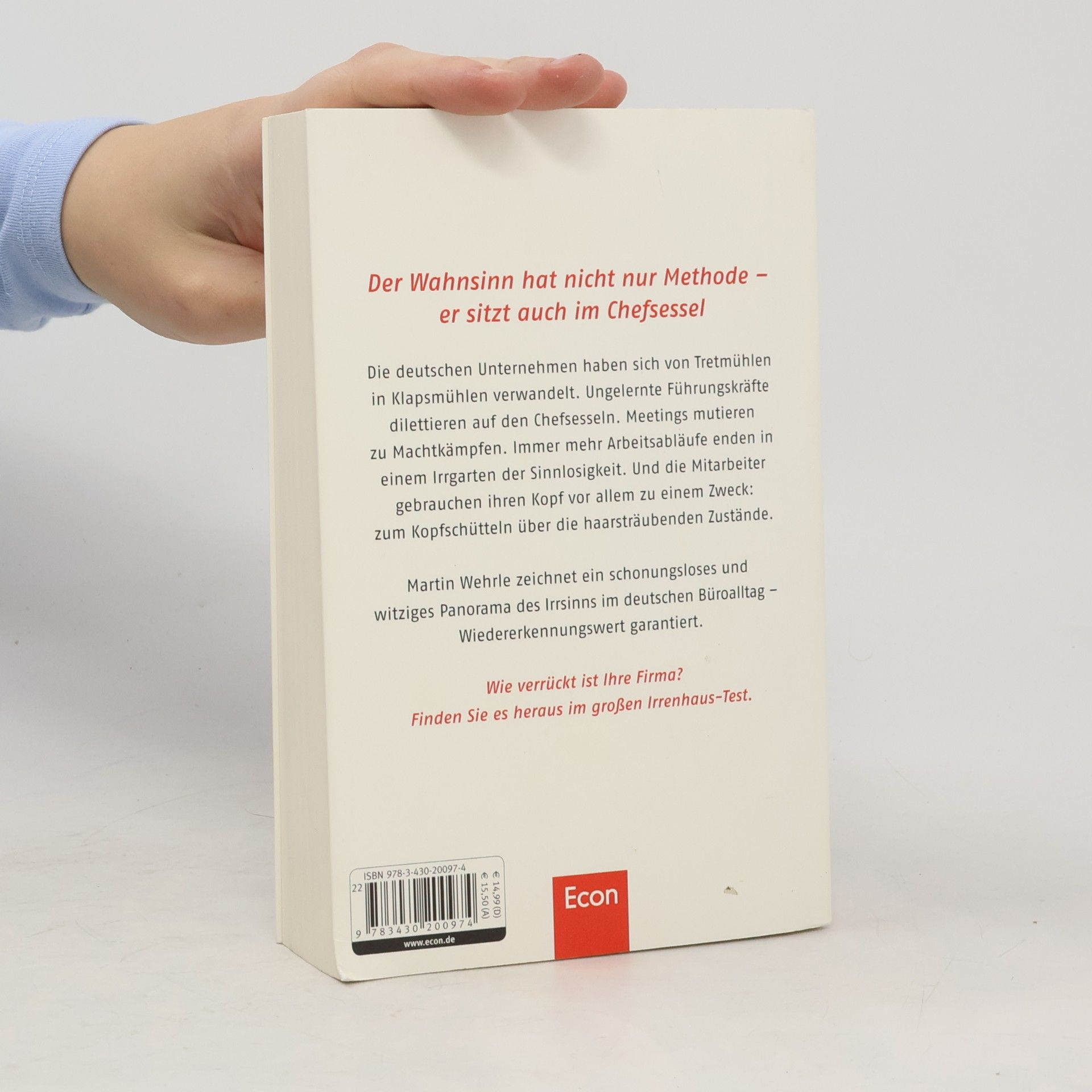 Martin Wehrle Ich arbeite in einem Irrenhaus