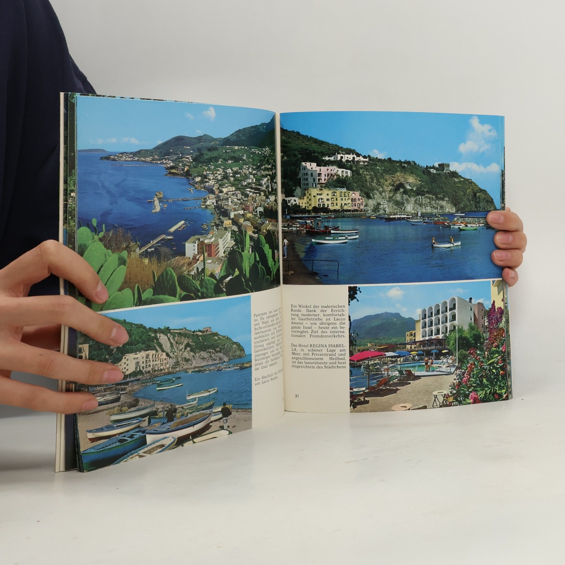 Kolektiv autorů Ischia