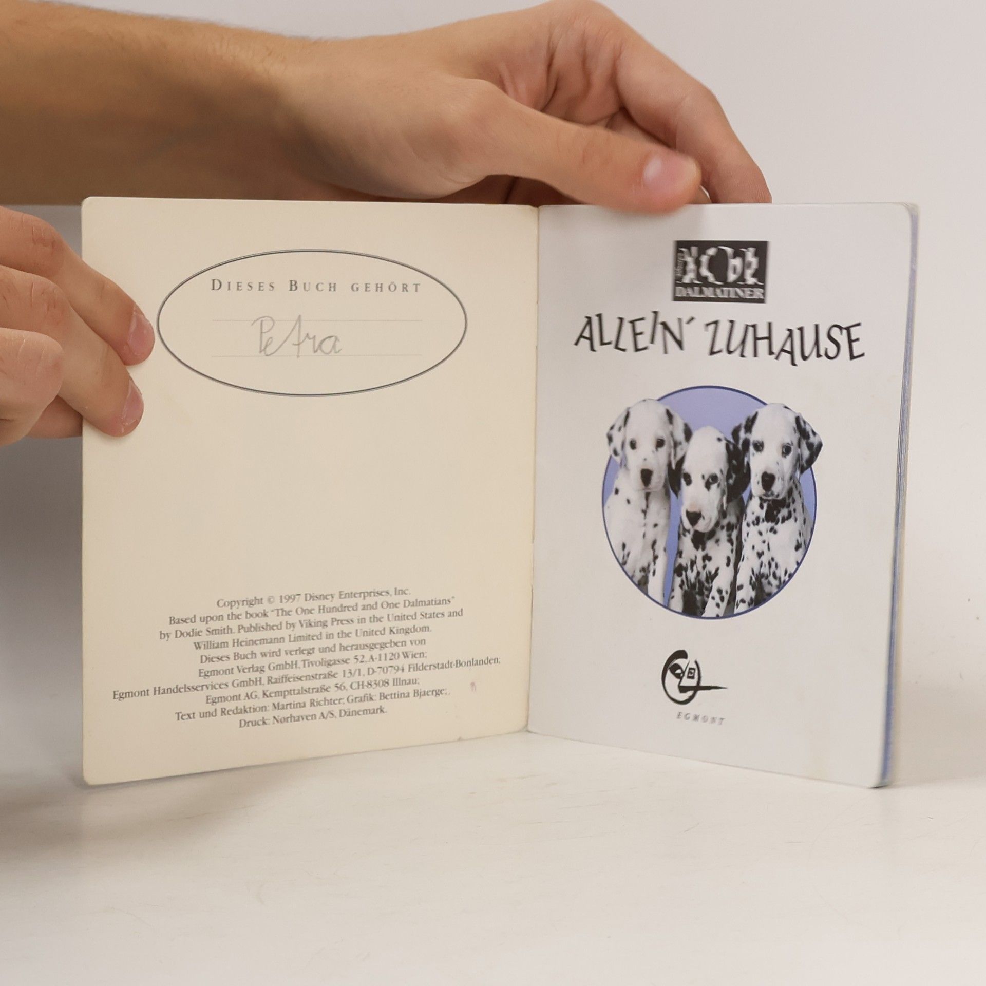Walt Disney 101 Dalmatiner Allein Zuhause Nr. 53