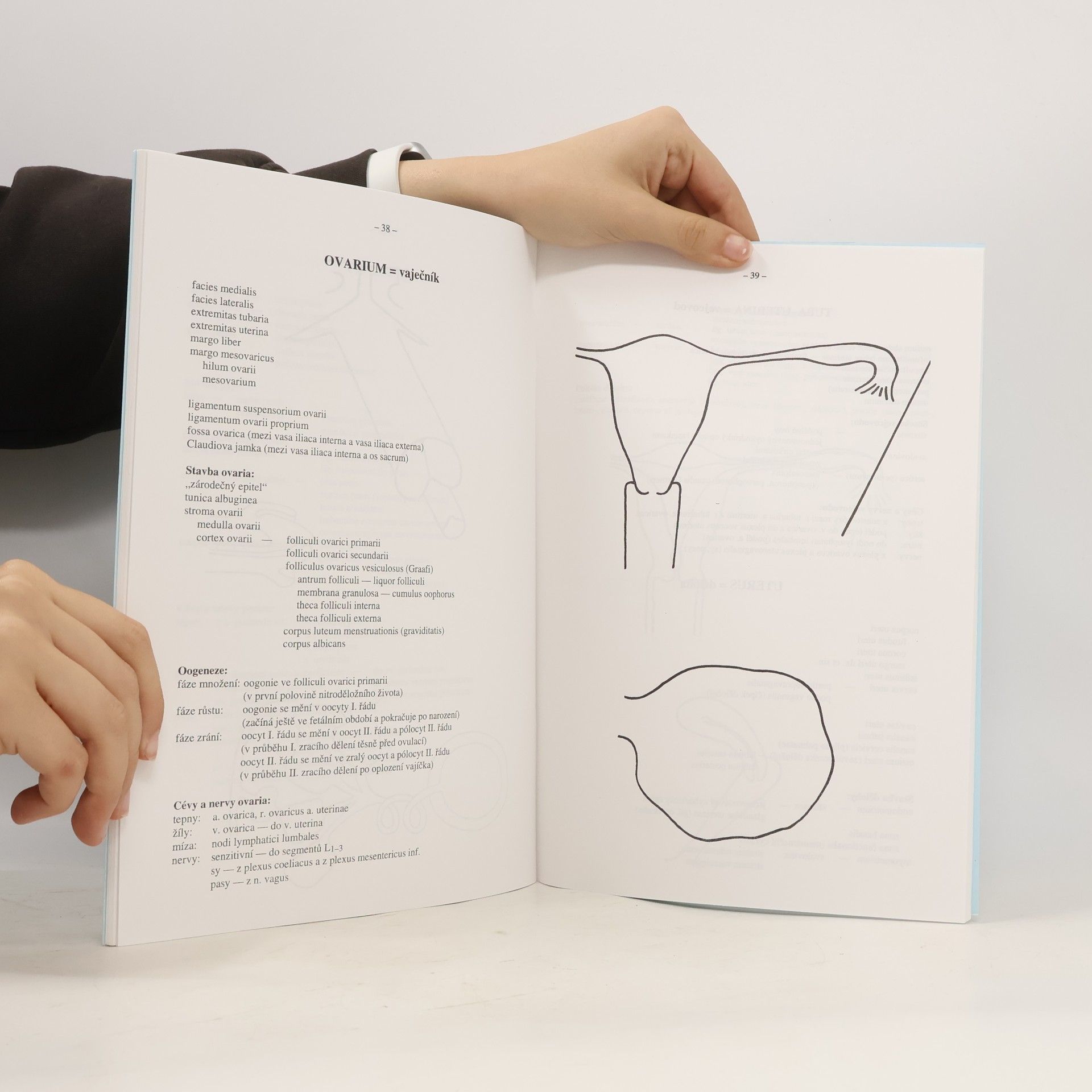 Vladimír Holibka Obrazové předlohy k přednáškám z anatomie