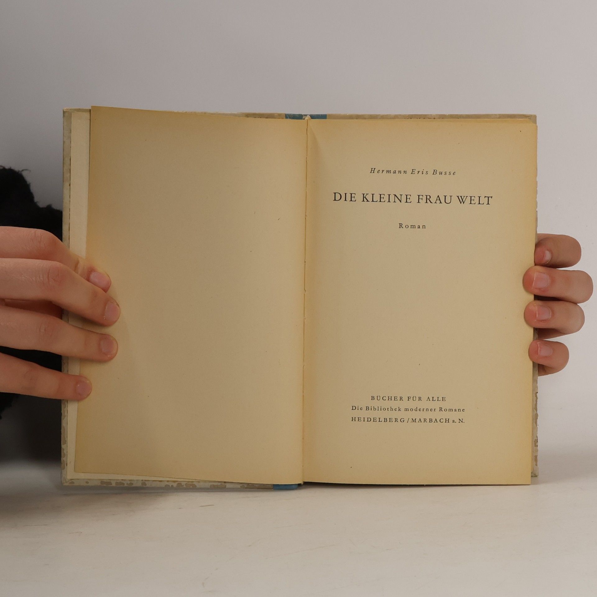 Hermann Eris Busse Die kleine Frau Welt