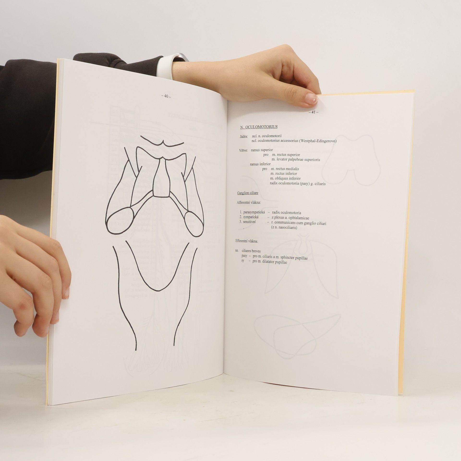 Vladimír Holibka Obrazové přílohy k přednáškám z anatomie