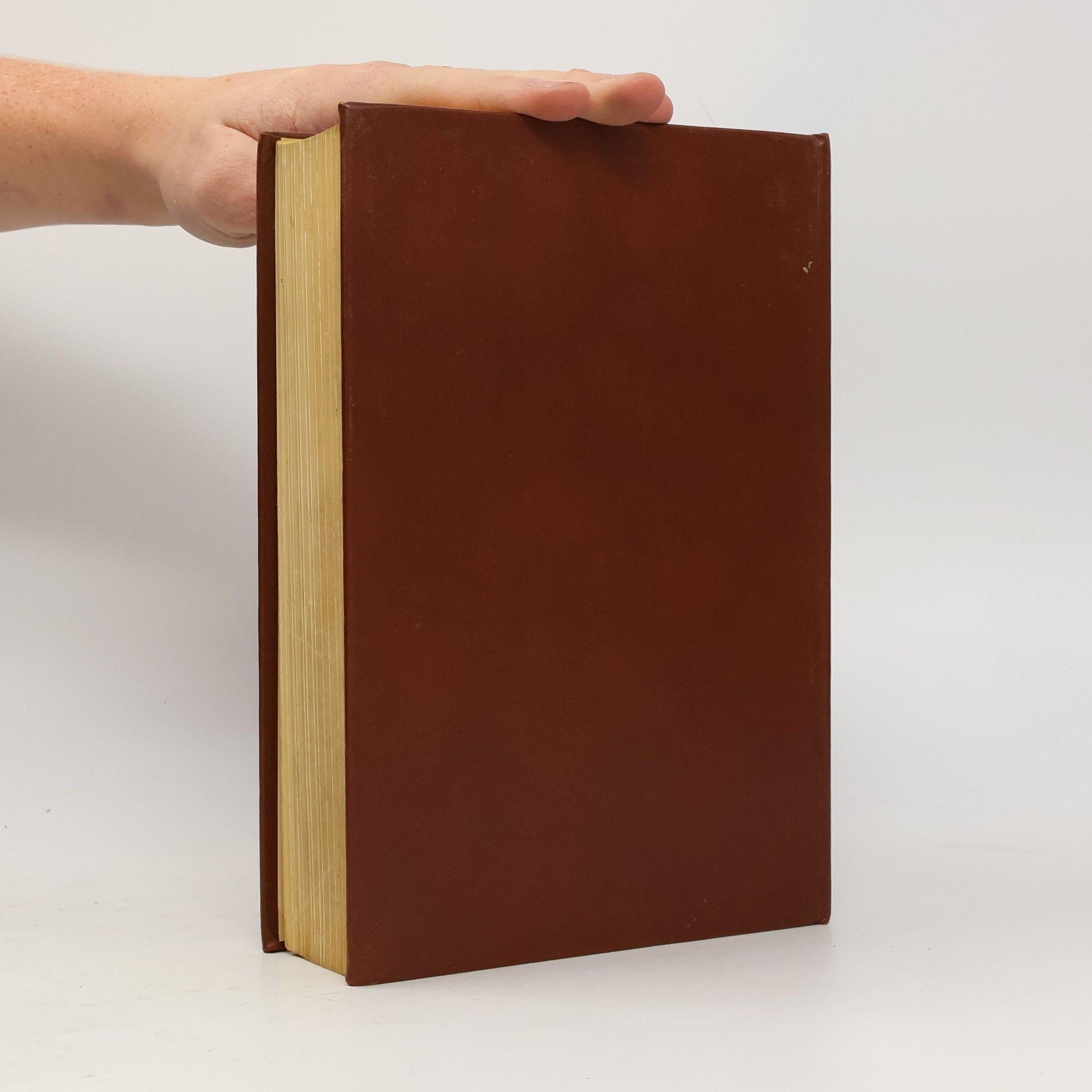 H. Scharfenberg Das große Koch- und Küchenbuch