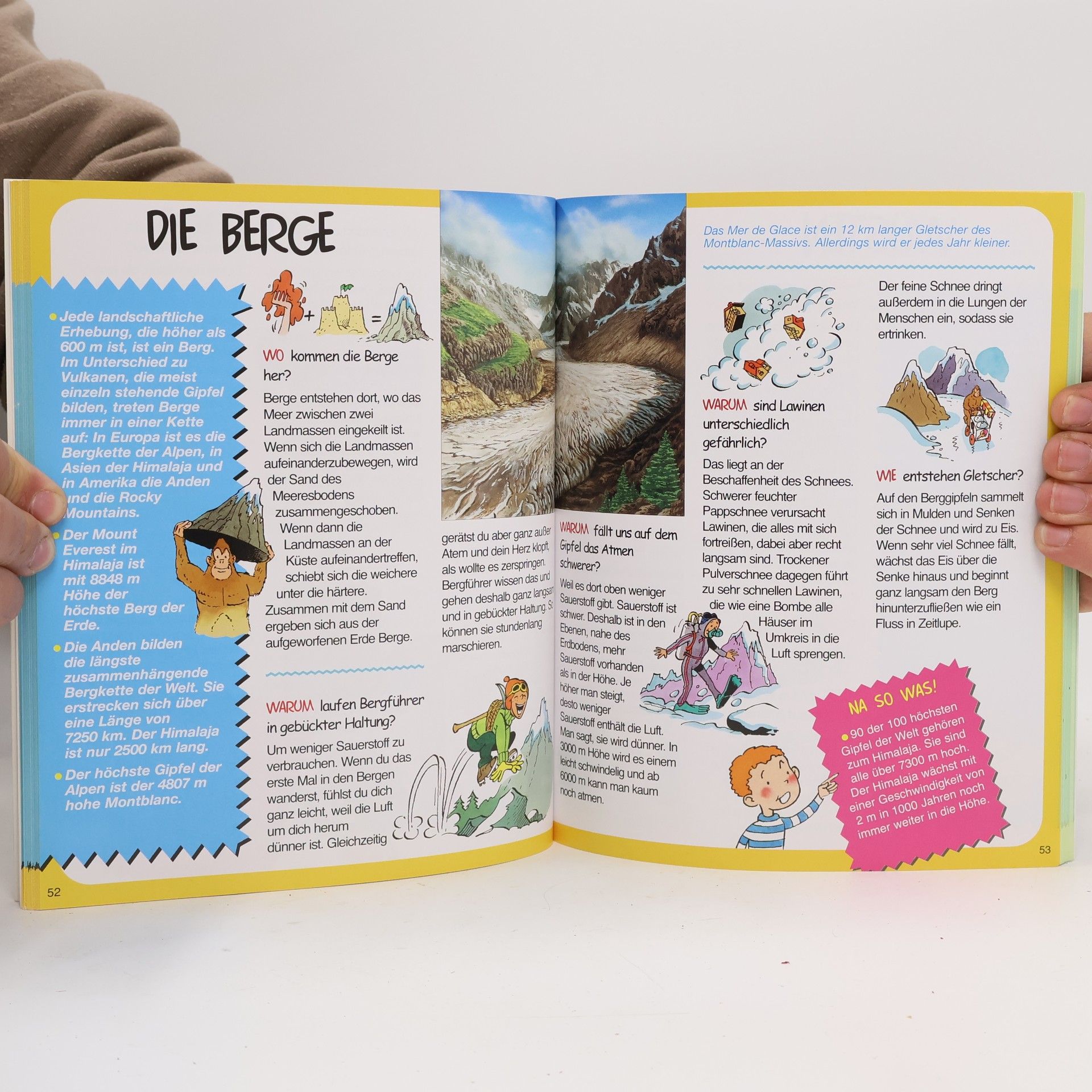 Autorenkollektiv Natur Fragen und Antworten