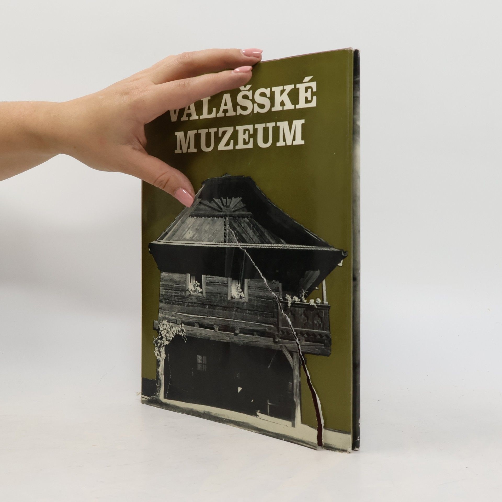 Autorenkollektiv Valašské muzeum