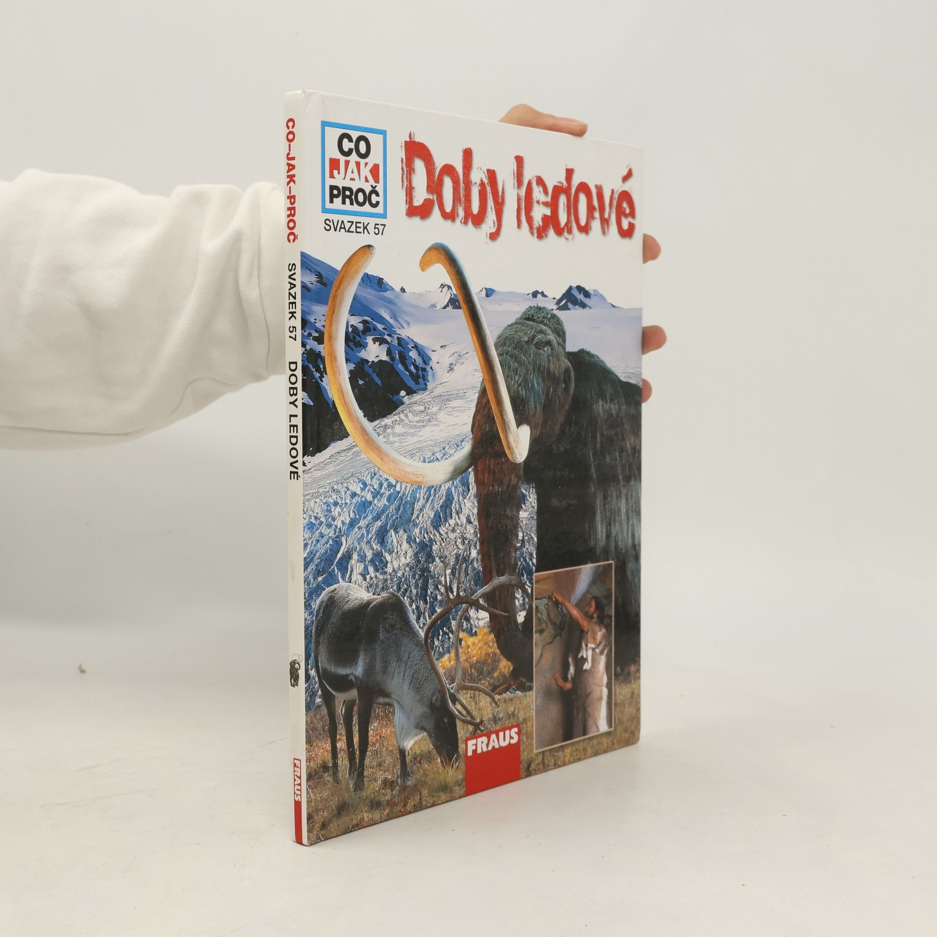 Doby ledové