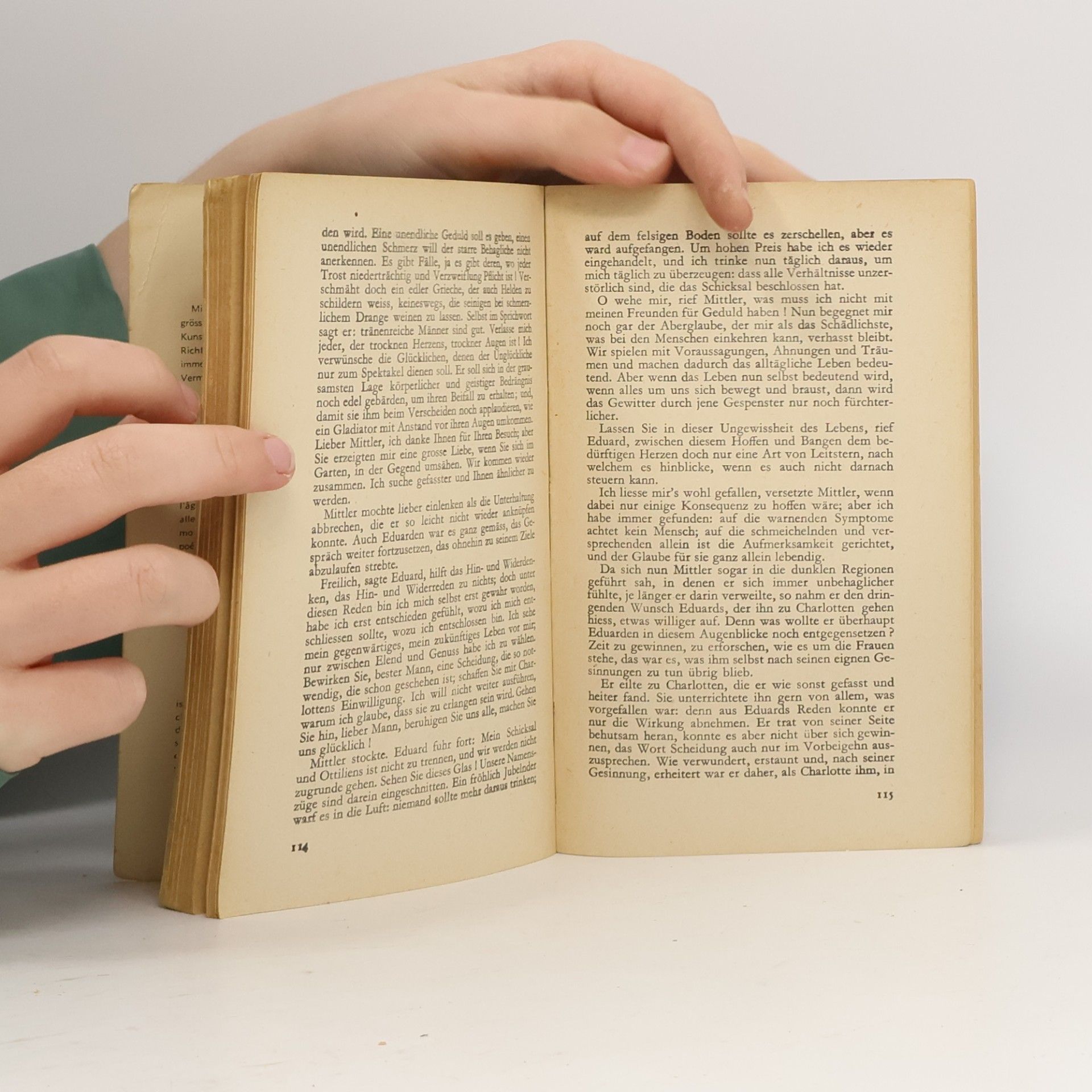 J. W. Goethe Die Wahlverwandtschaften